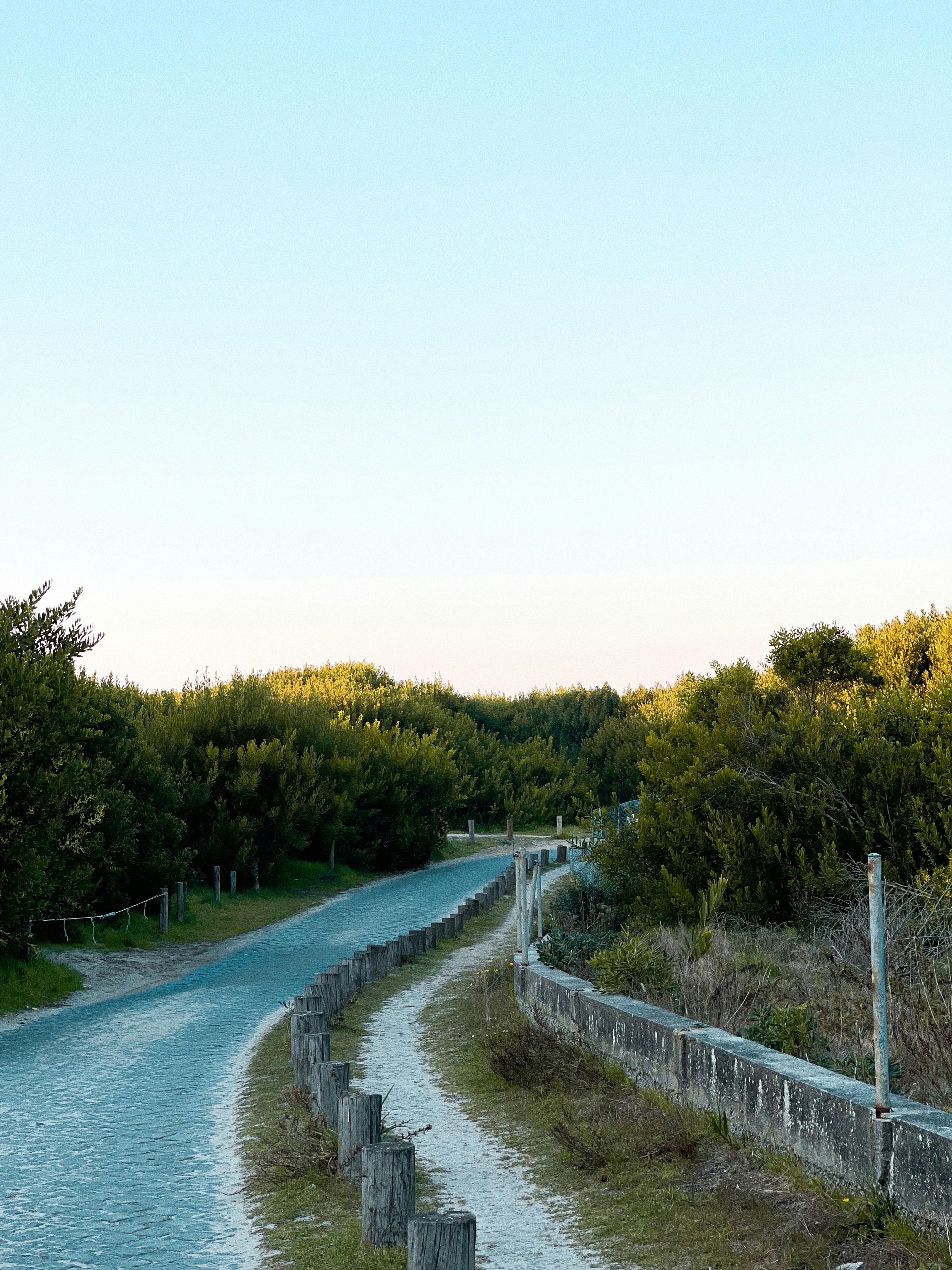 Photo by afonsoduartemarques