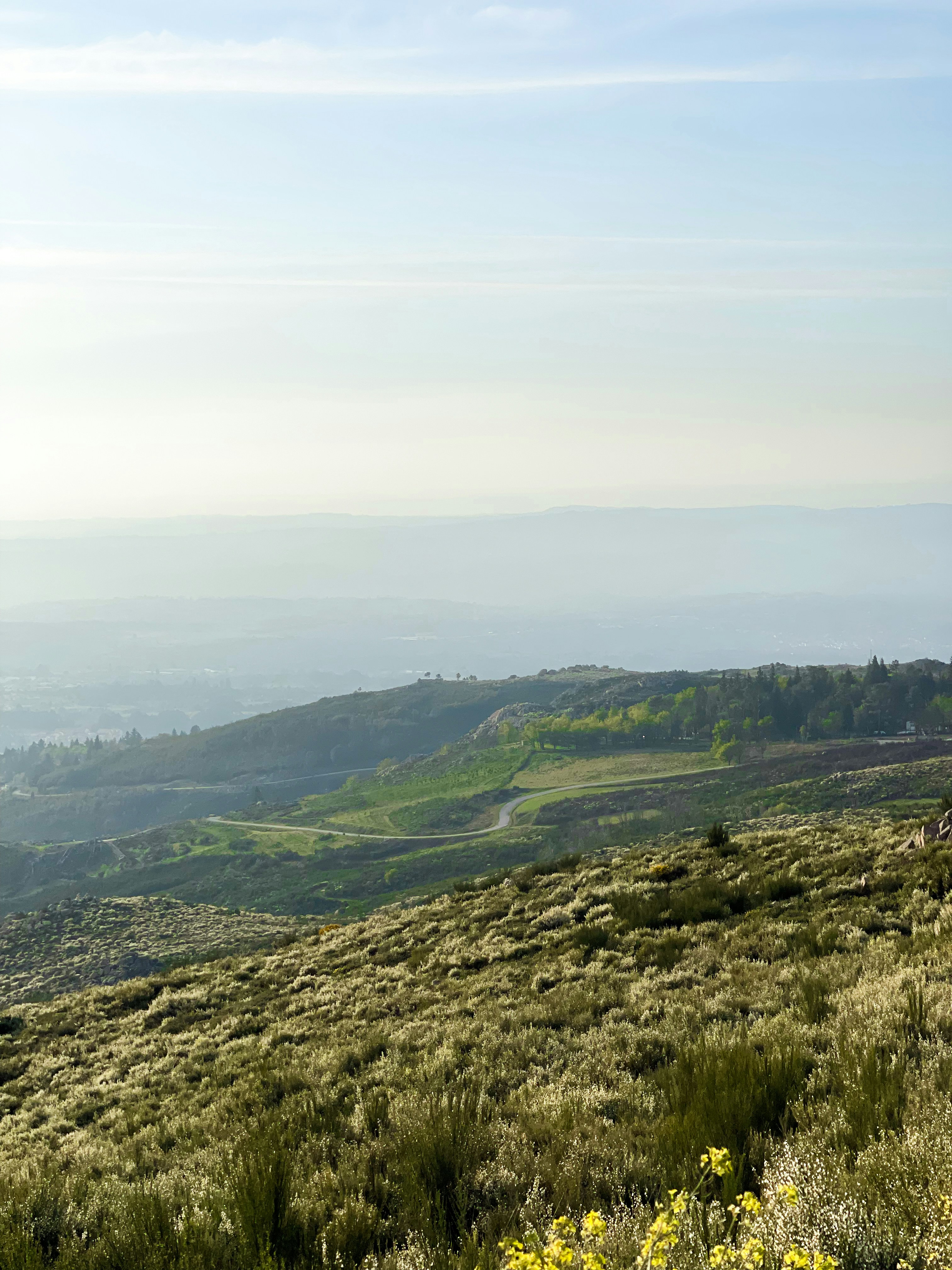 Photo by afonsoduartemarques