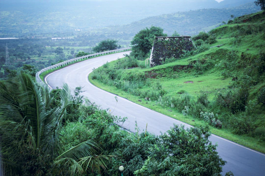 A winding road through verdant hills leading to the peaceful villas near Kainchi Dham.