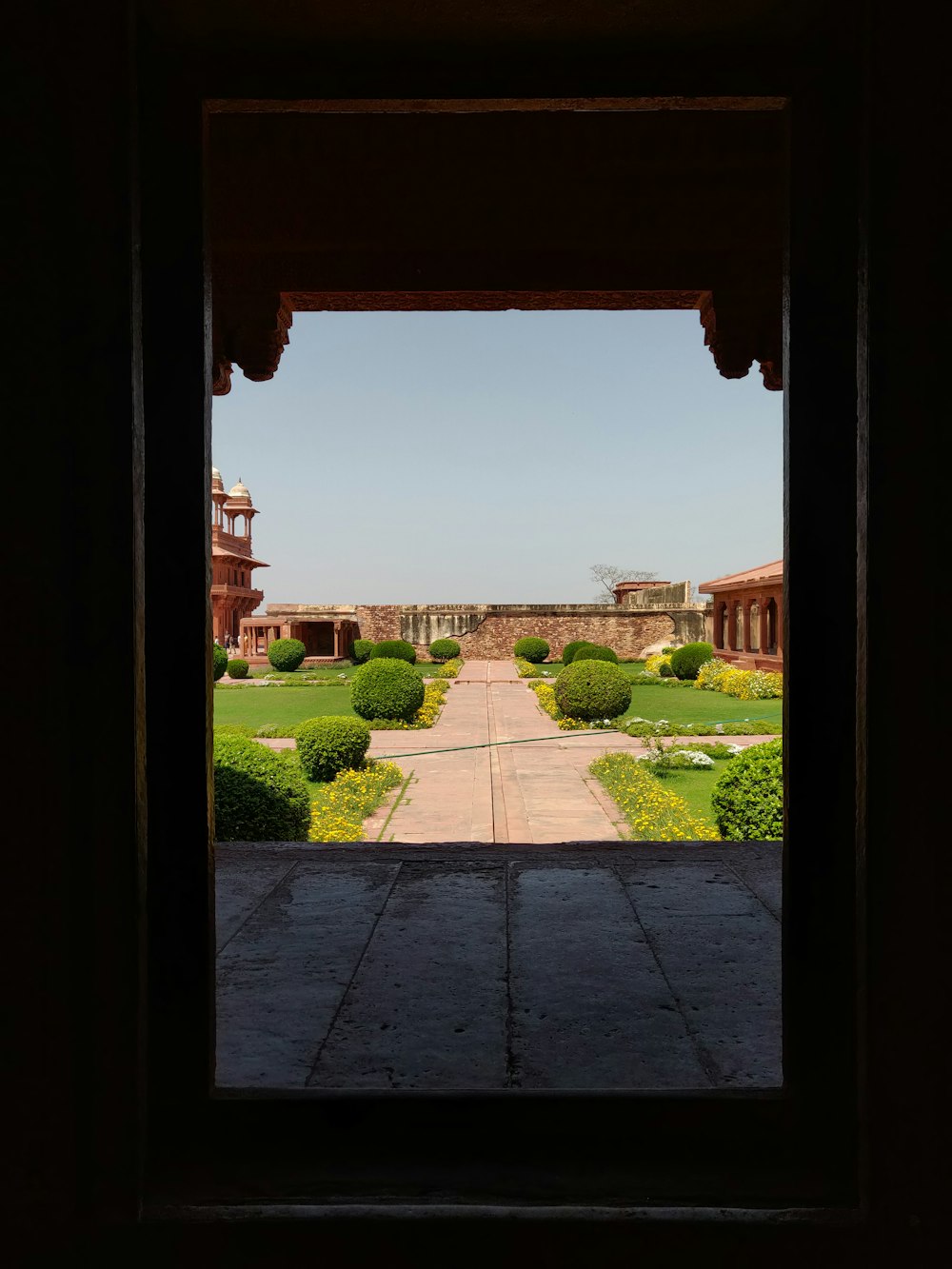 a view of a yard through a window