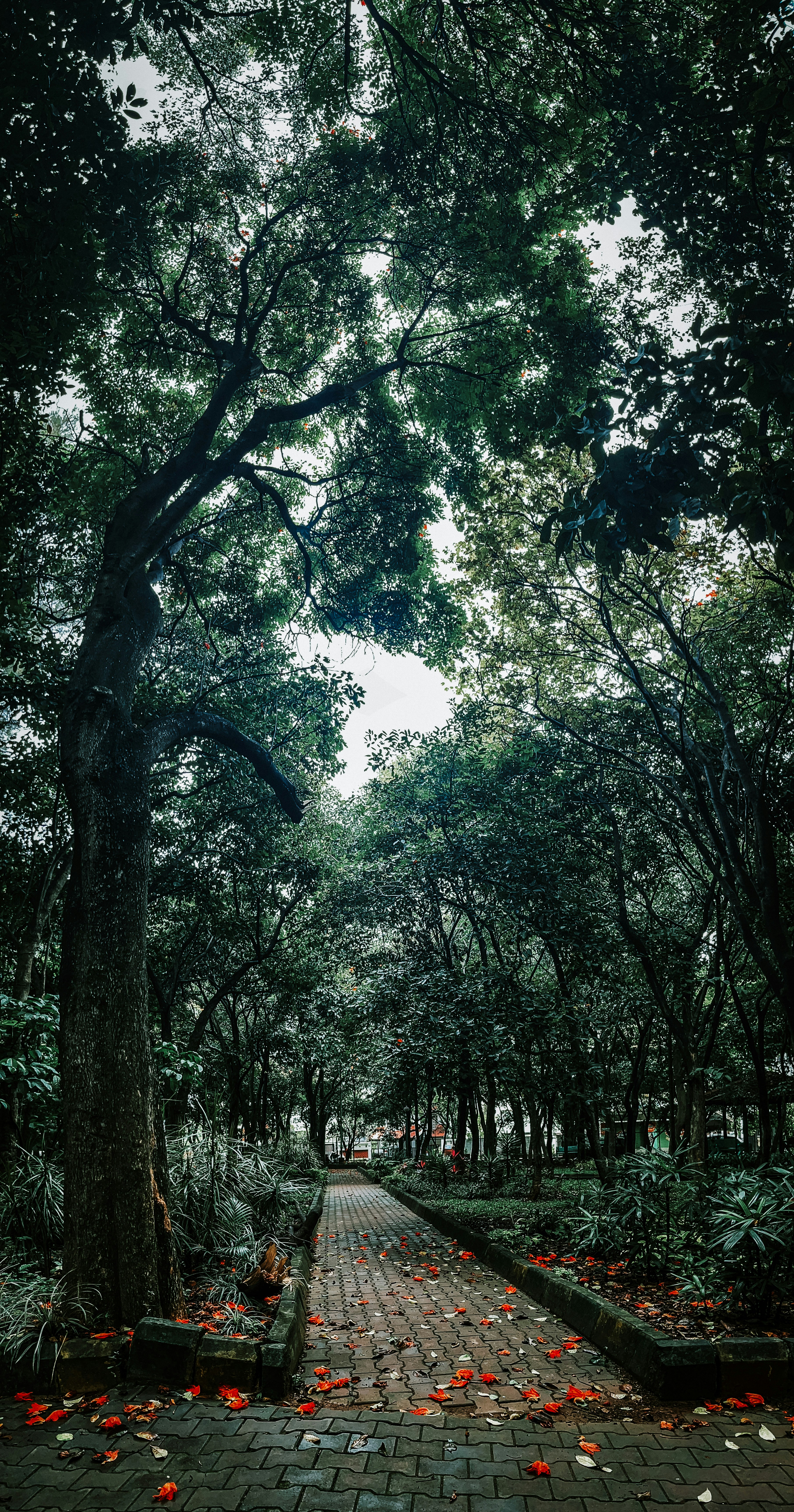 Photo by vishnupadmanabhan