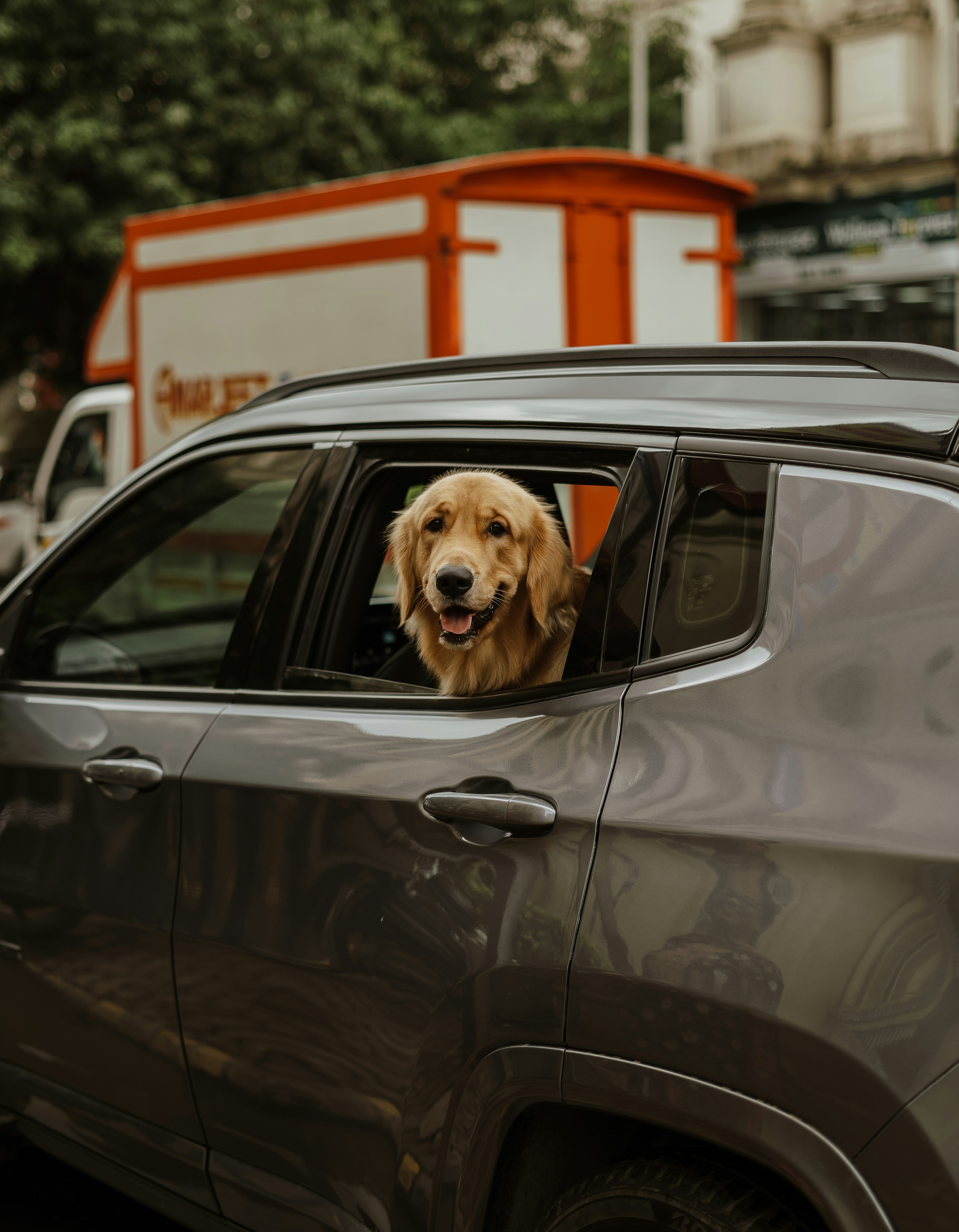 Photo by viditgoswami