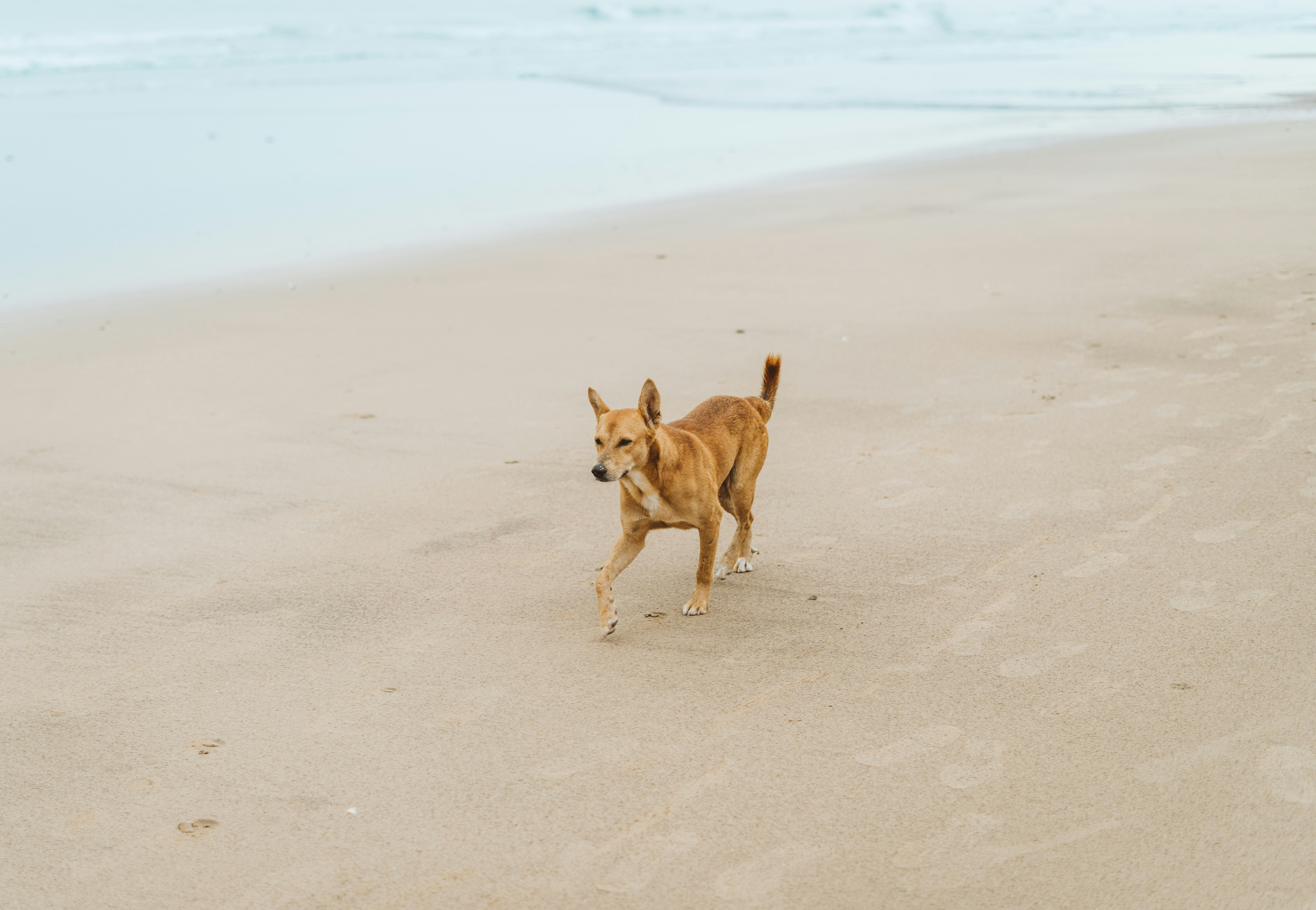 Photo by viditgoswami