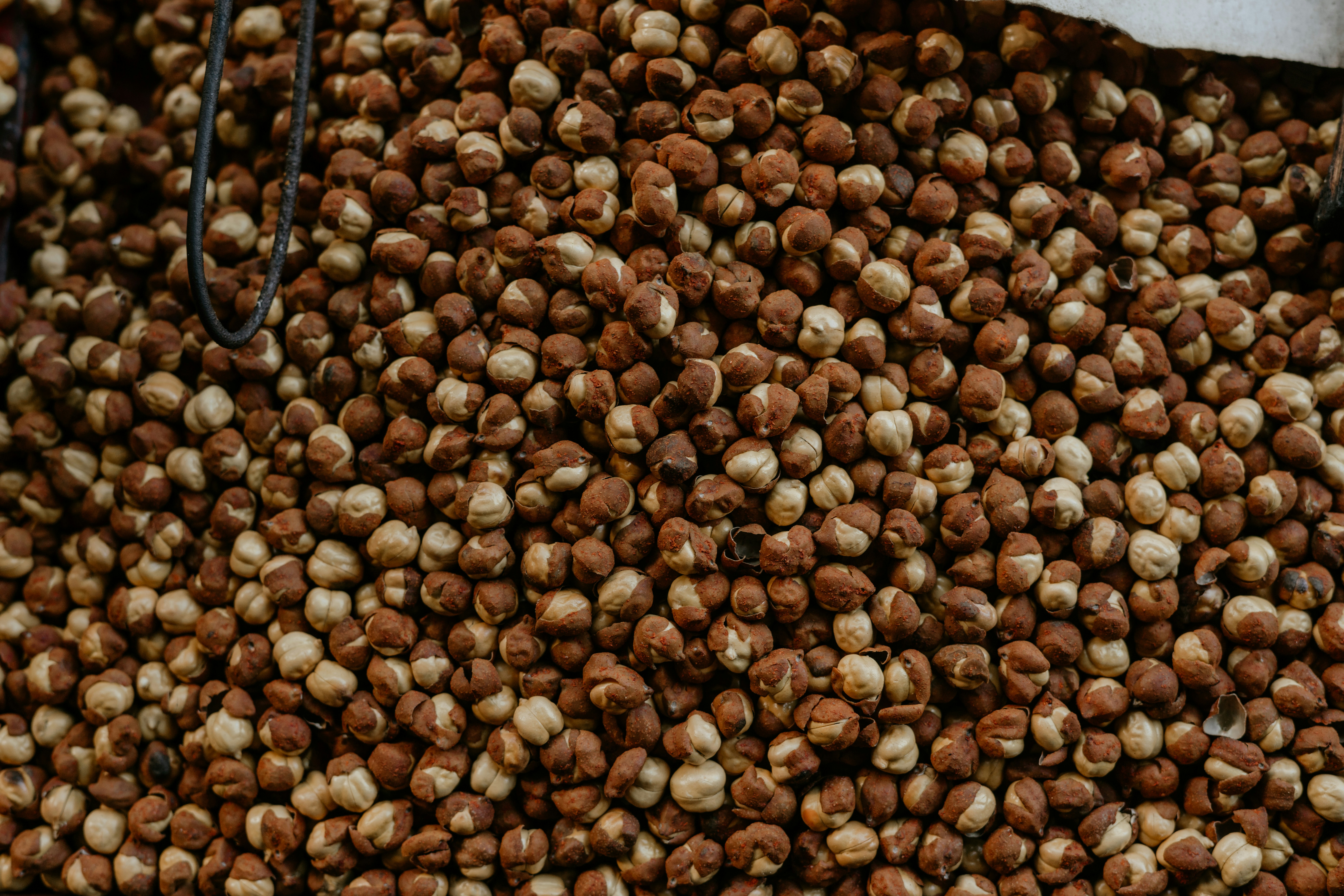 Photo by viditgoswami