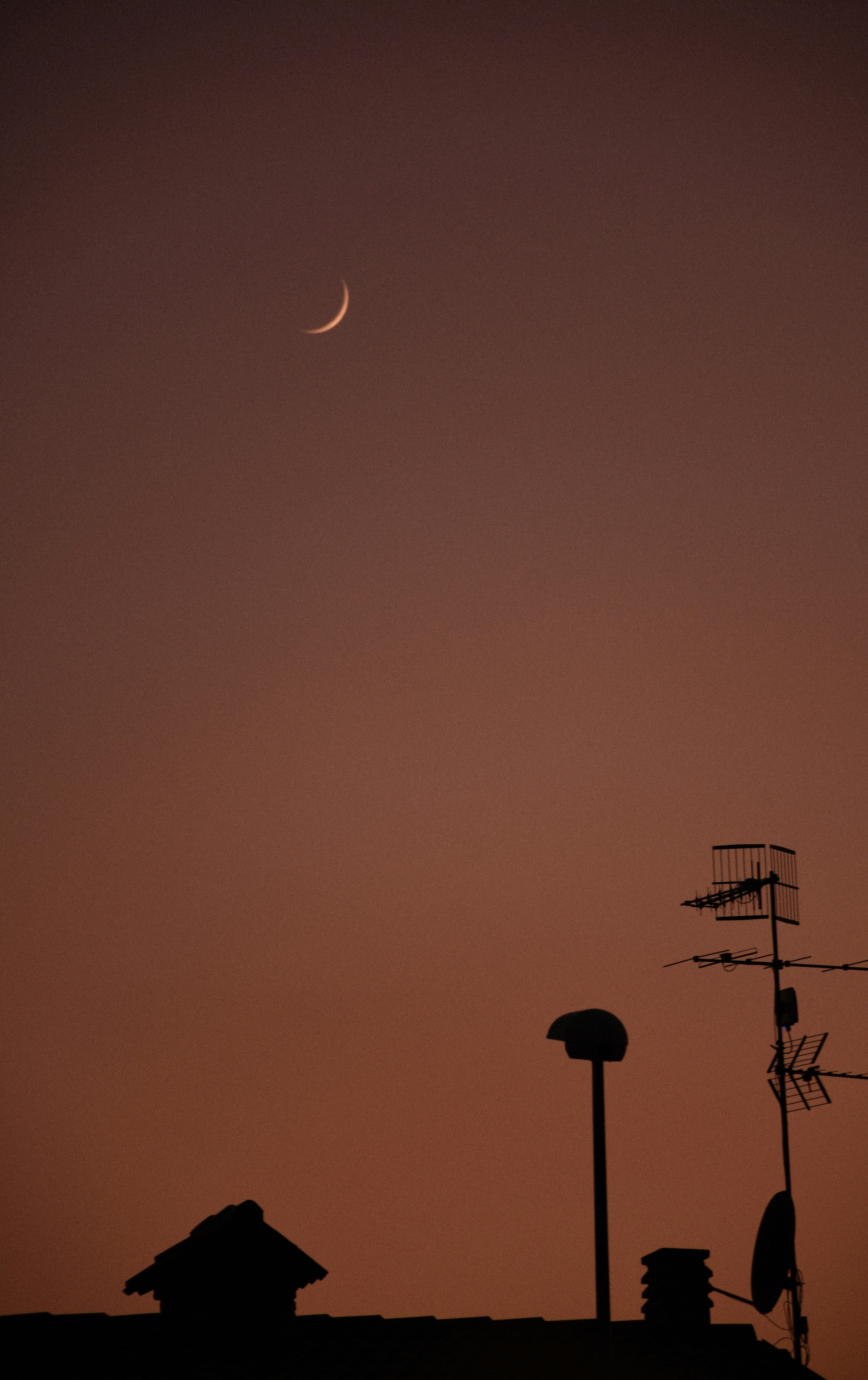 Photo by federicabras