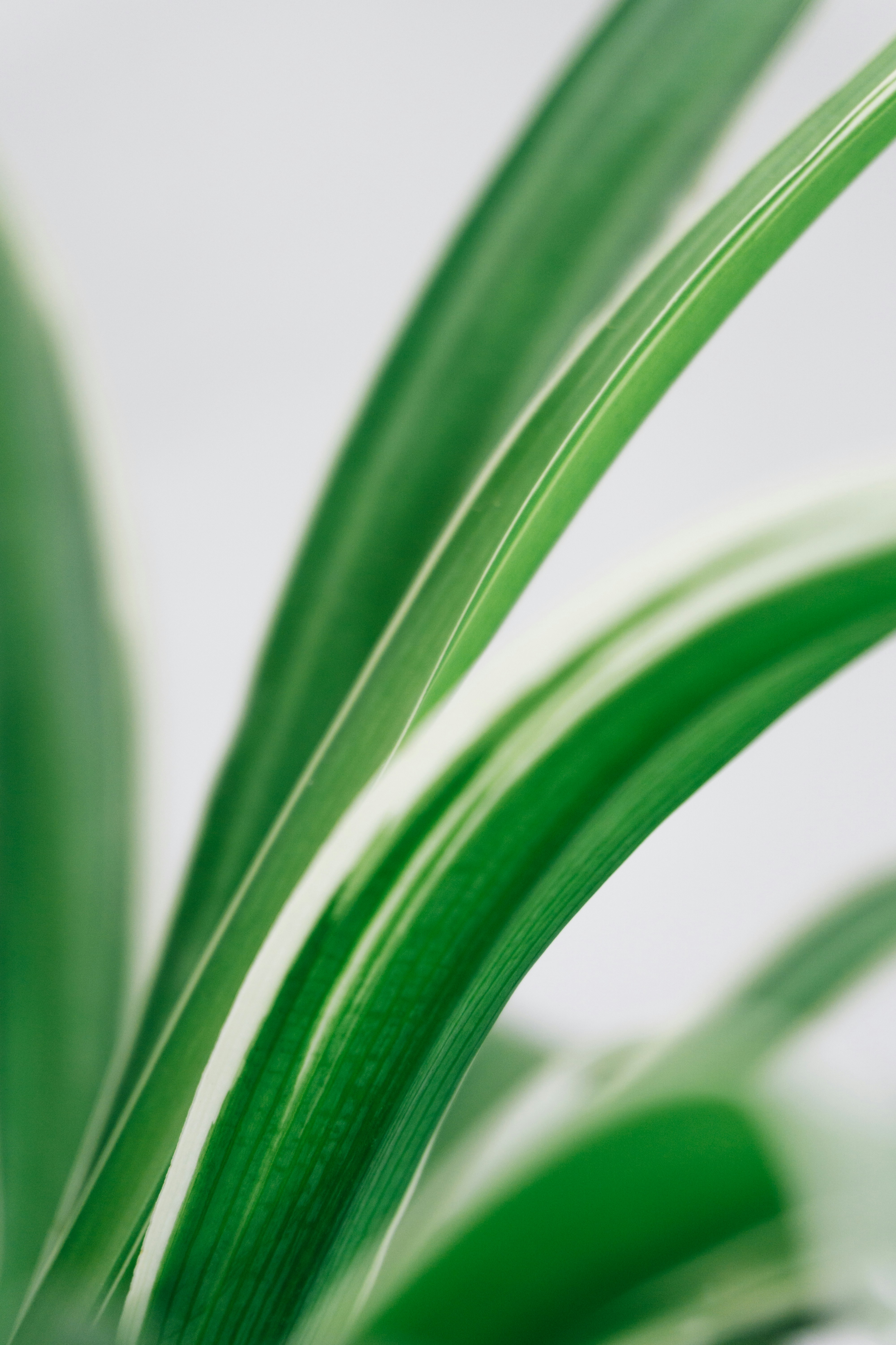 Photo by likechristos