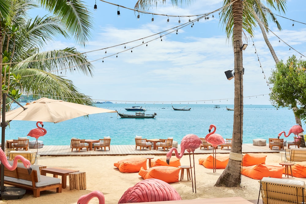 a beach with chairs and umbrellas