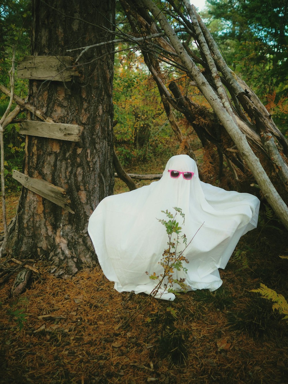 a white statue of a person in a white garment sitting in a forest