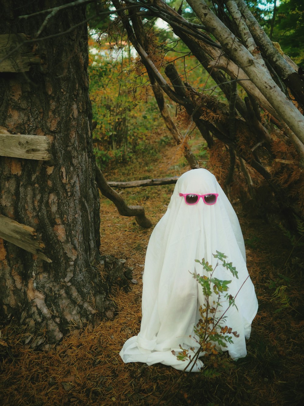 a white dress from a tree