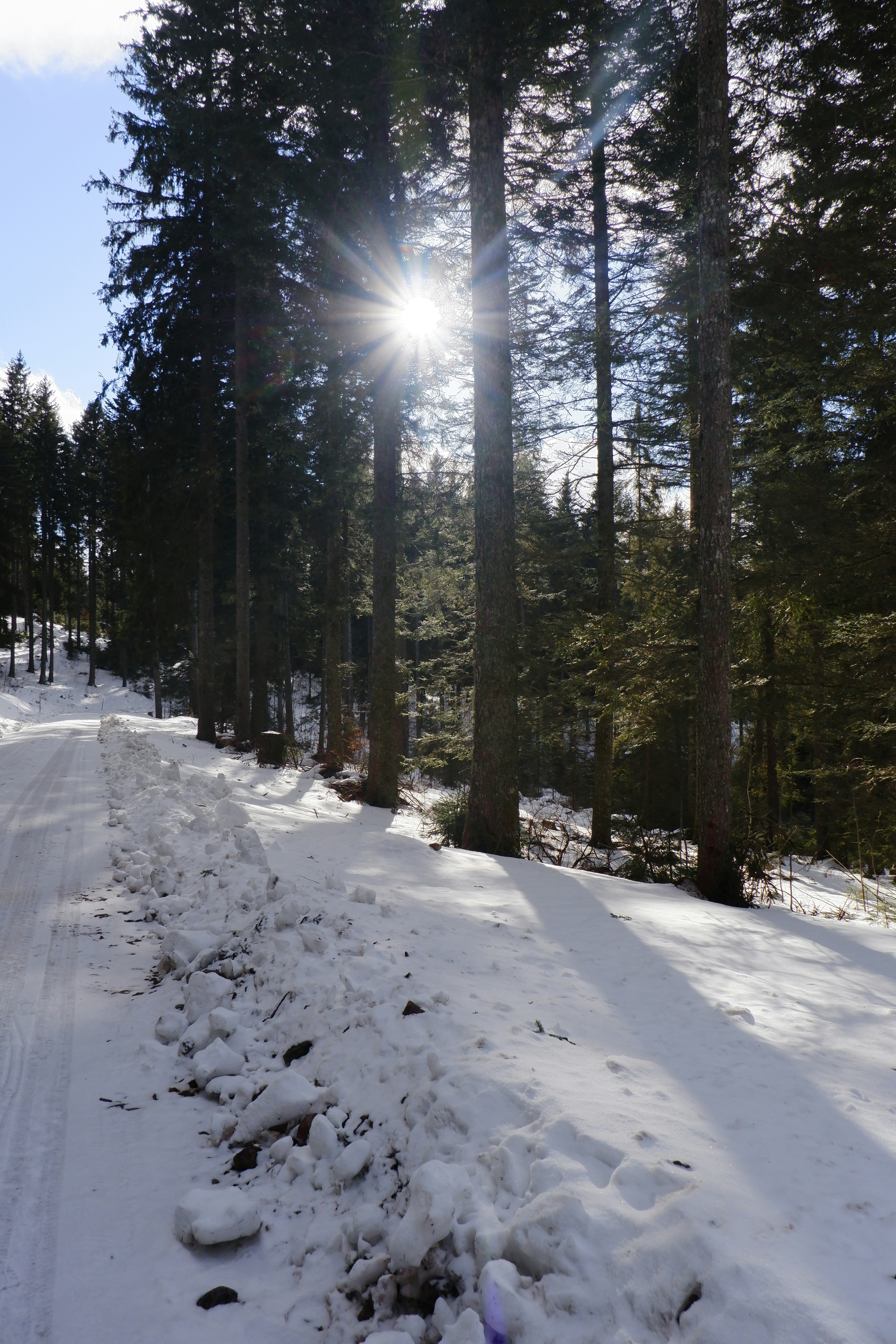 Photo by kevinmartinjose