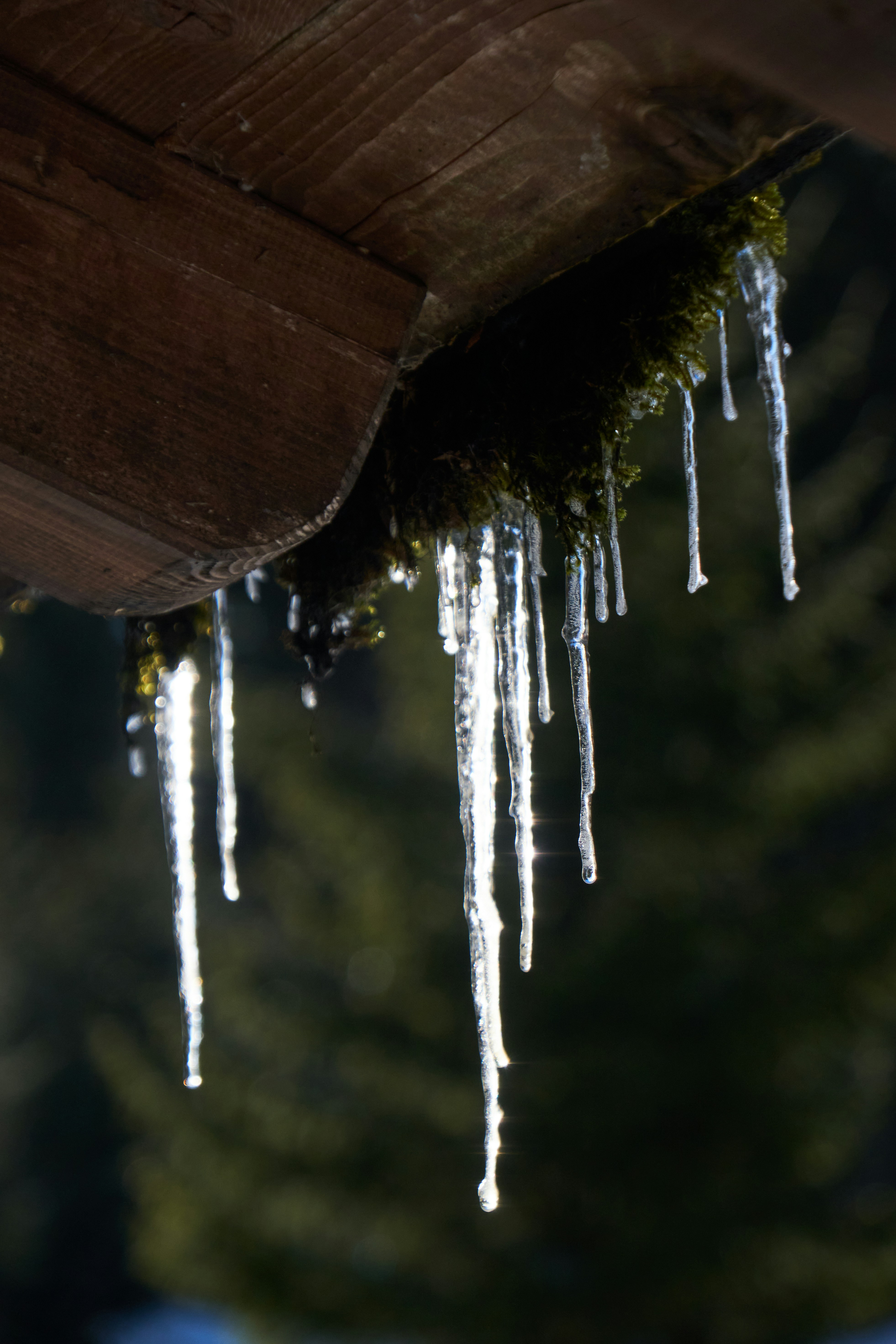 Photo by kevinmartinjose