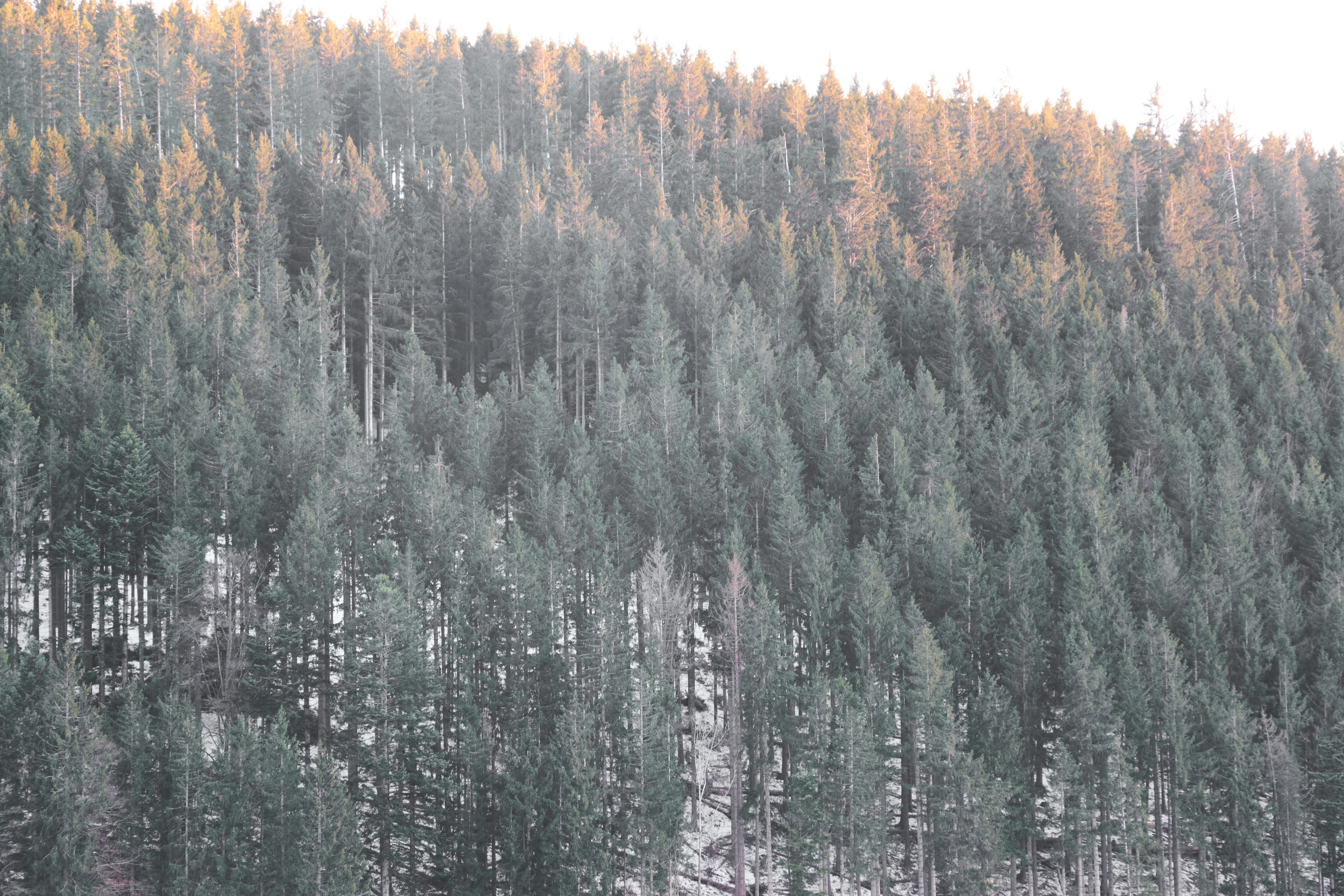 Photo by kevinmartinjose