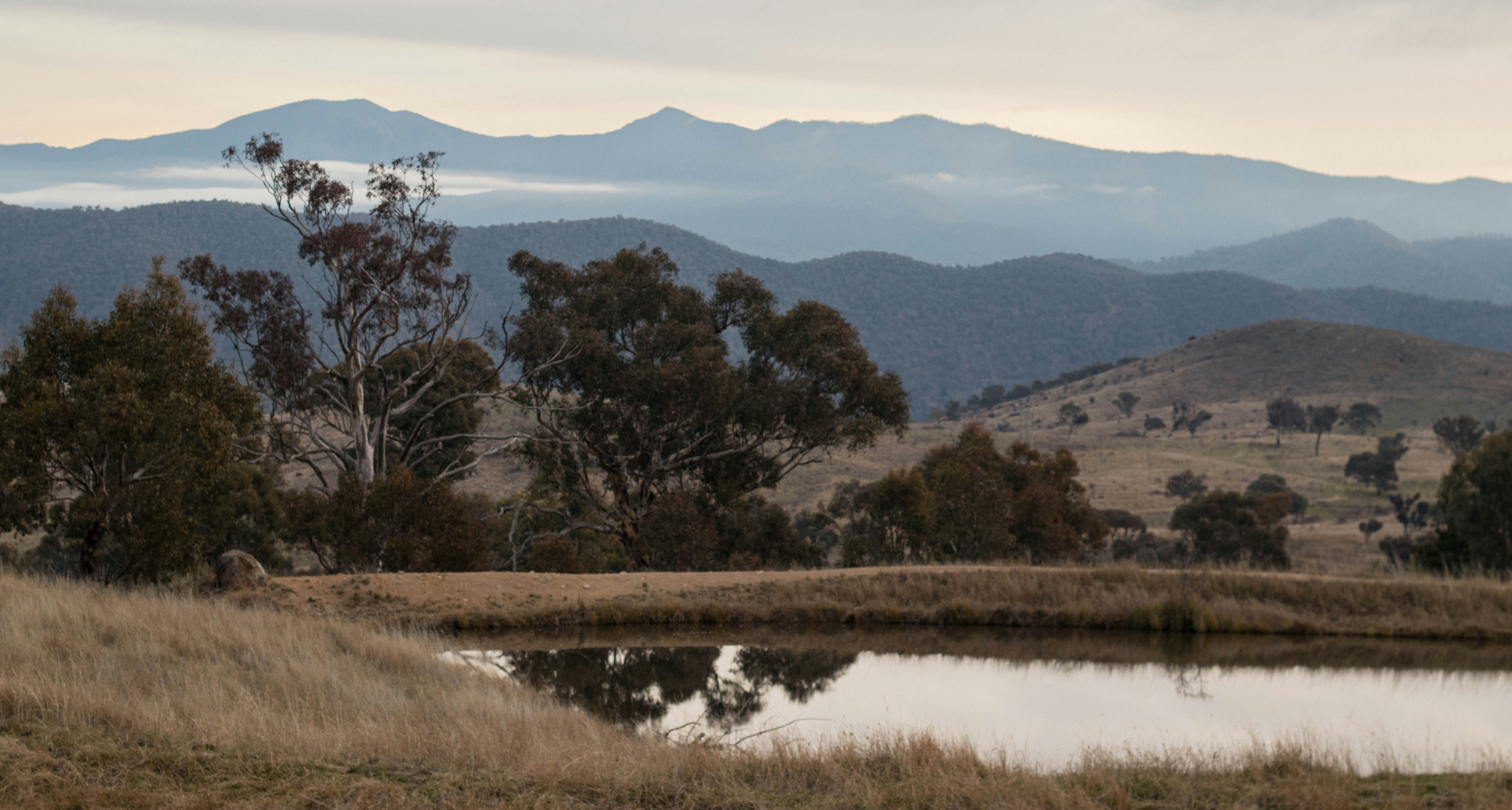 Australia Faces Climate Crisis as Extreme Heat Fuels Bushfire Emergency