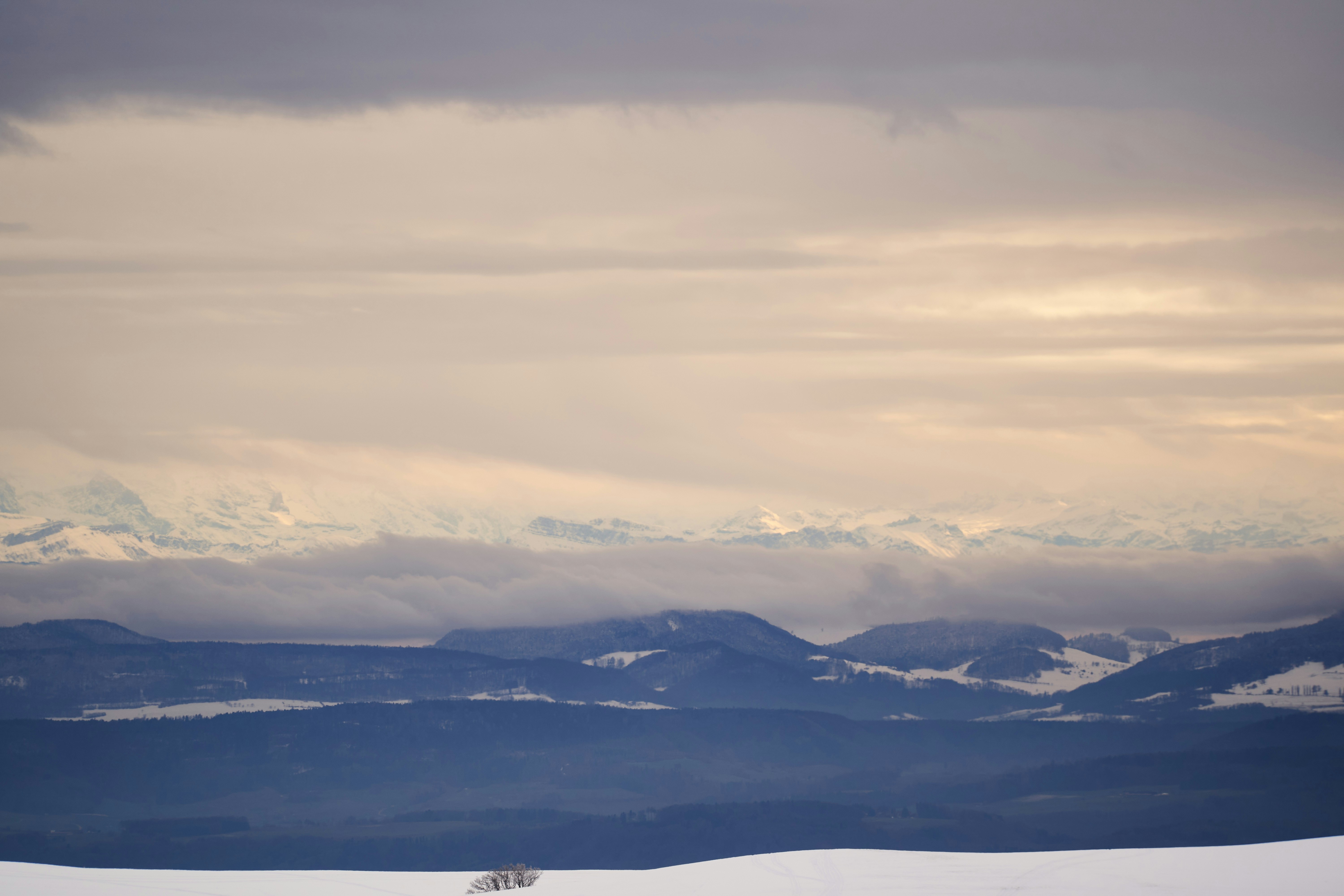 Photo by wolfgang_hasselmann