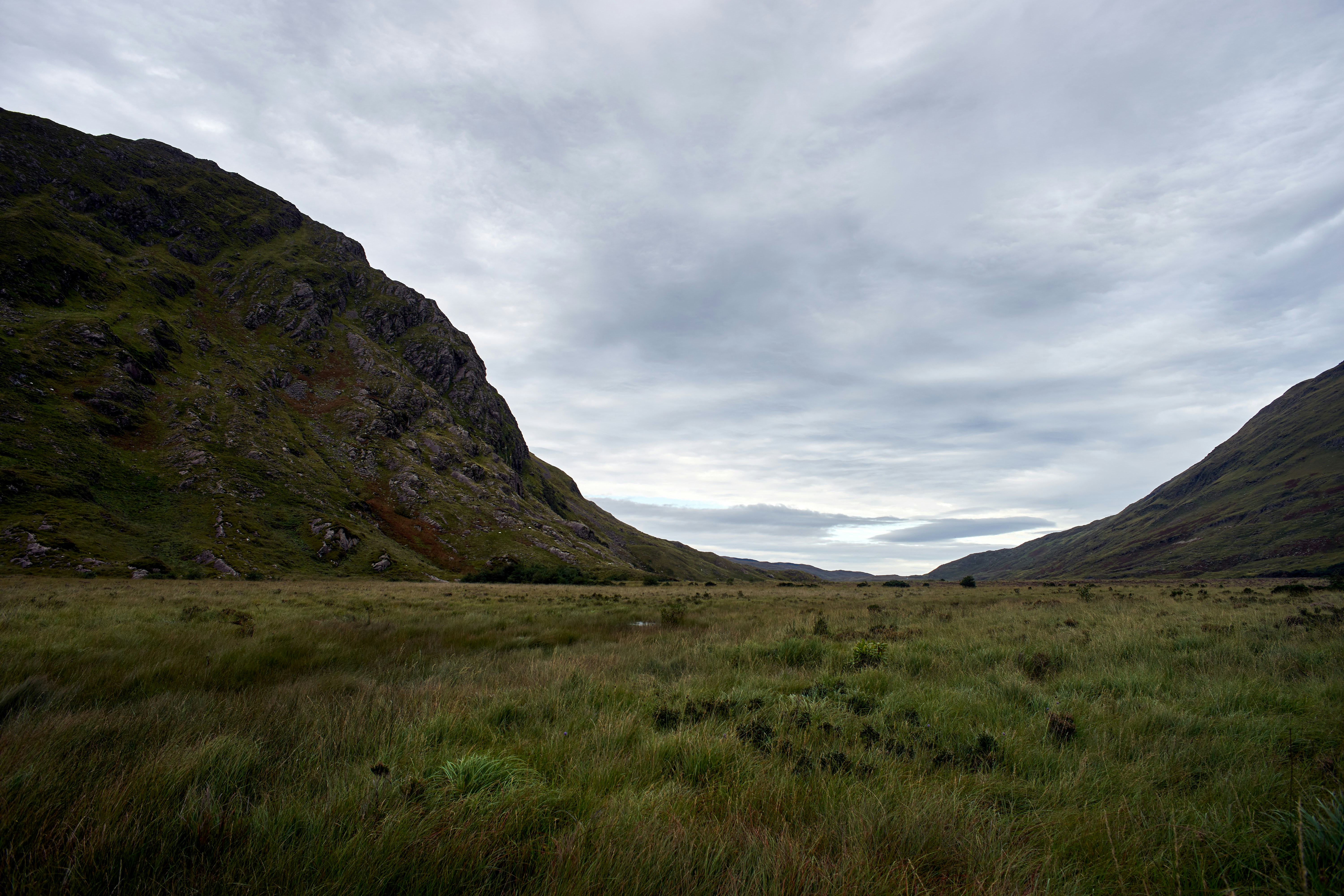 Photo by wolfgang_hasselmann