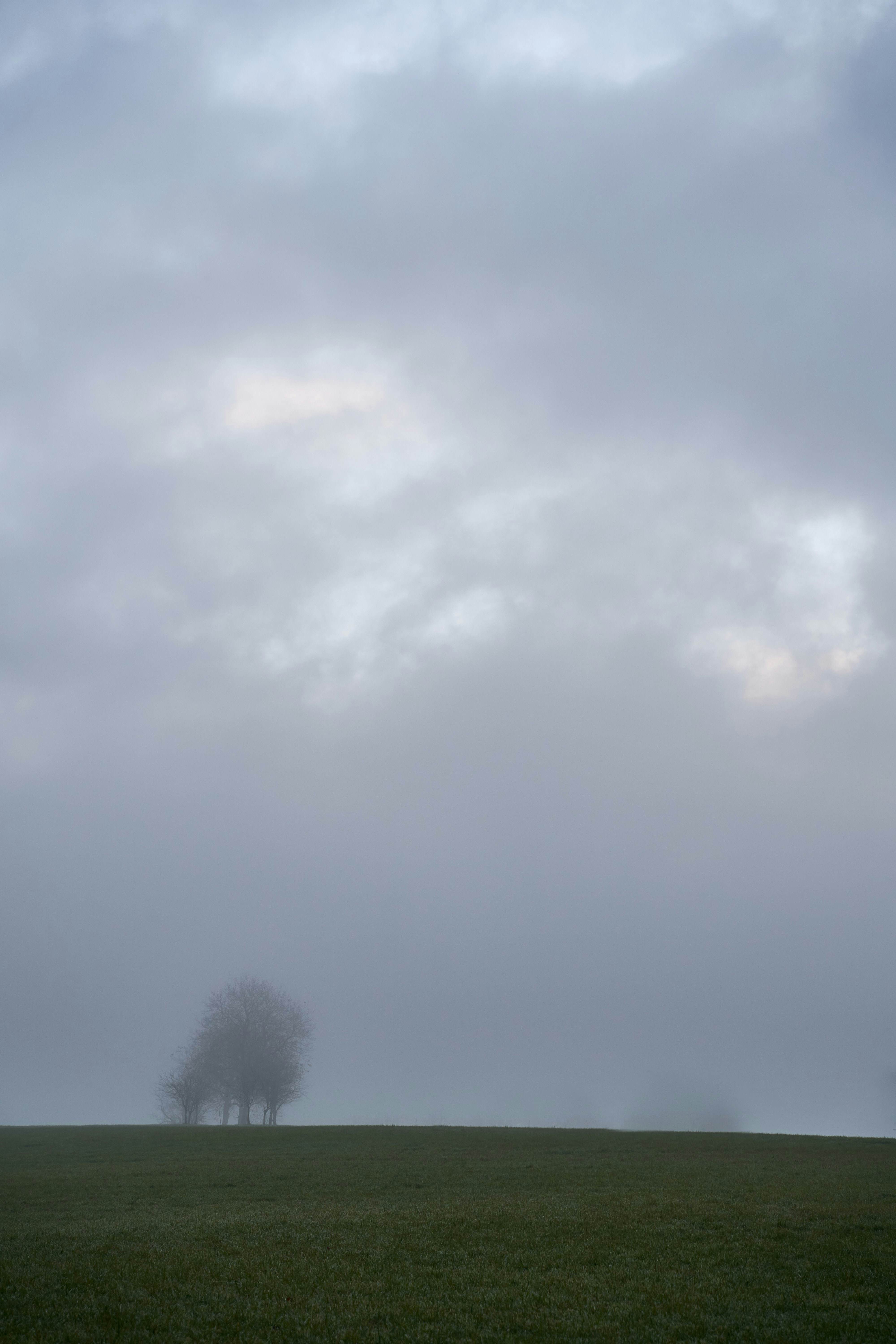 Photo by wolfgang_hasselmann