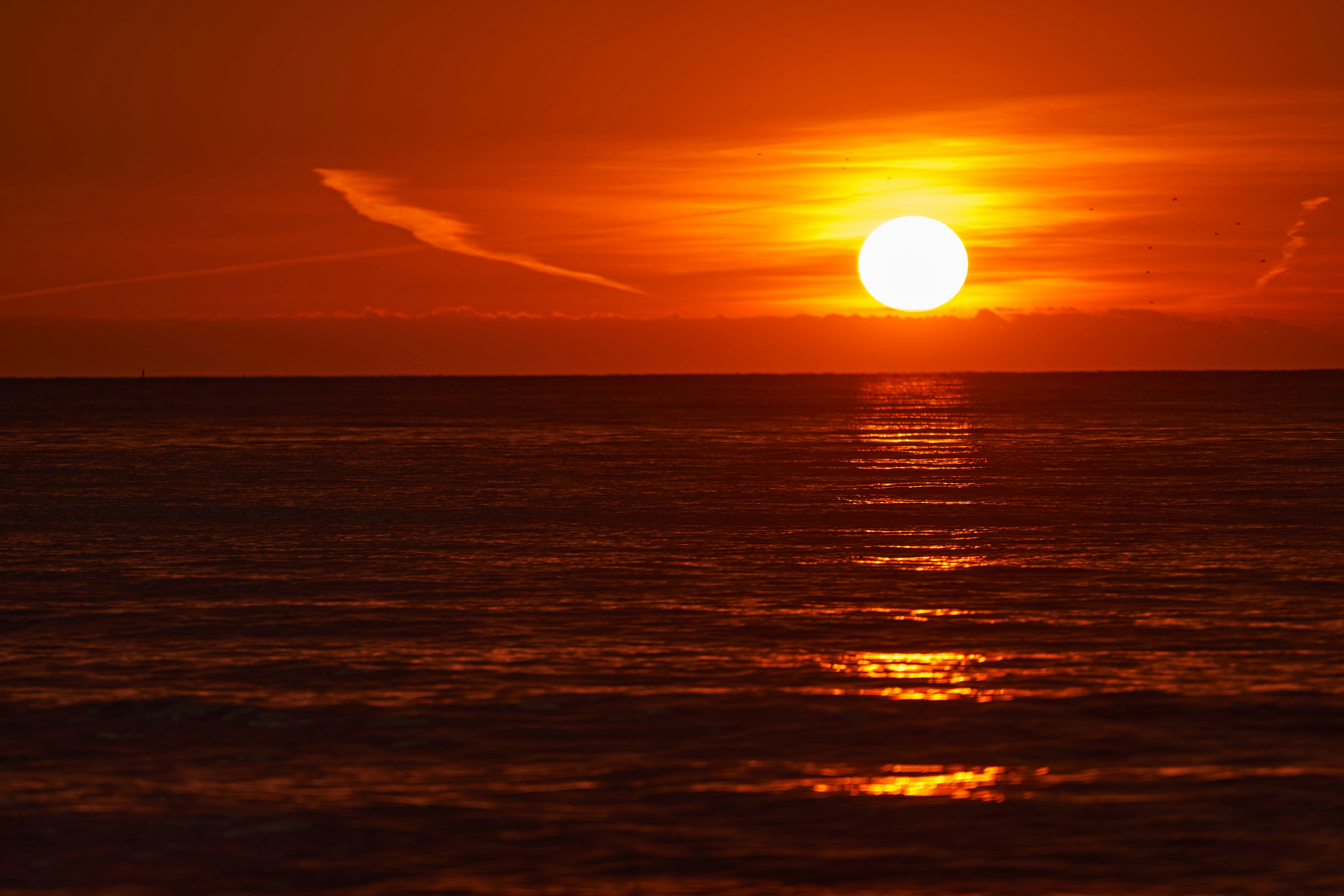 Photo by wolfgang_hasselmann