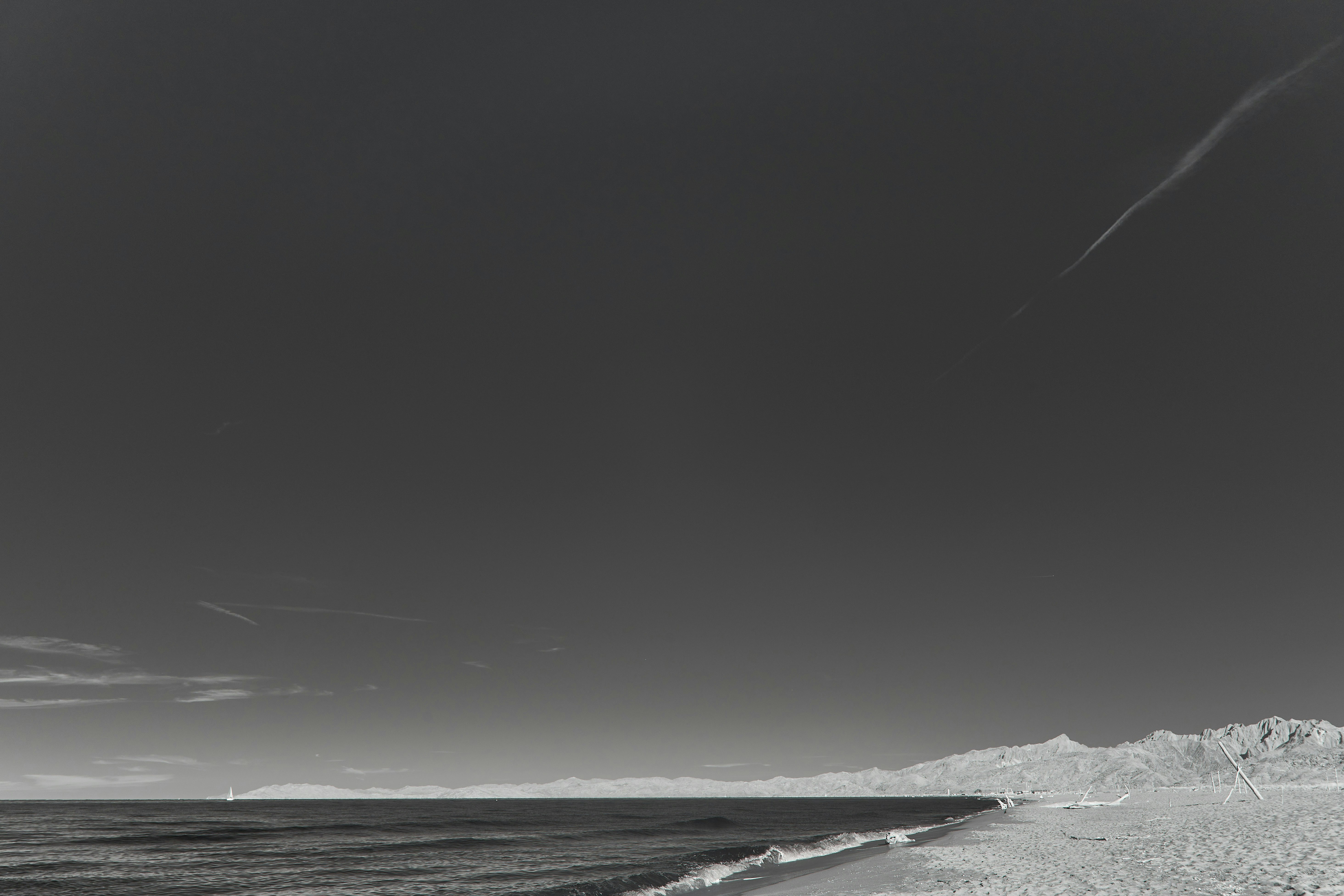 Photo by wolfgang_hasselmann