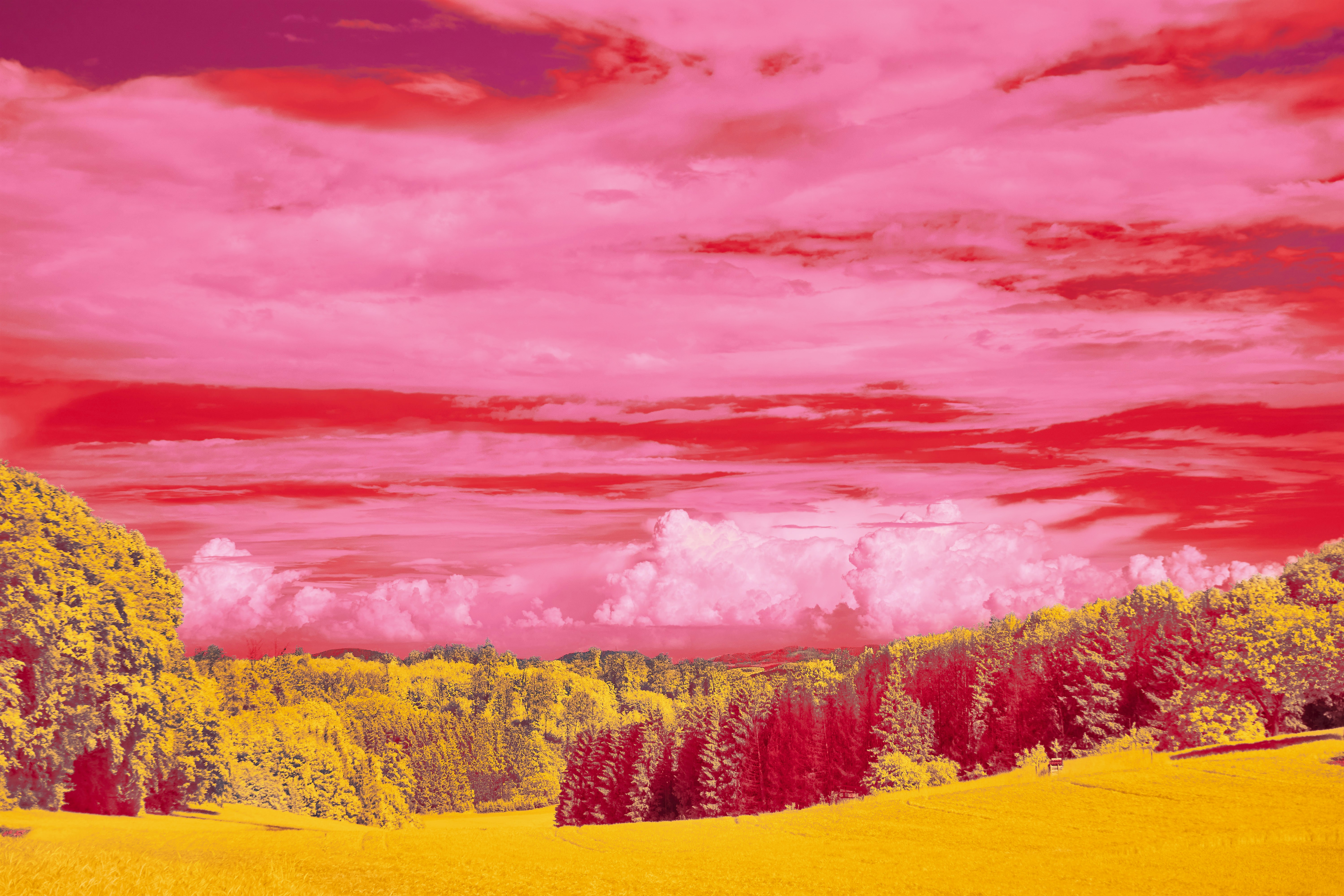 Photo by wolfgang_hasselmann