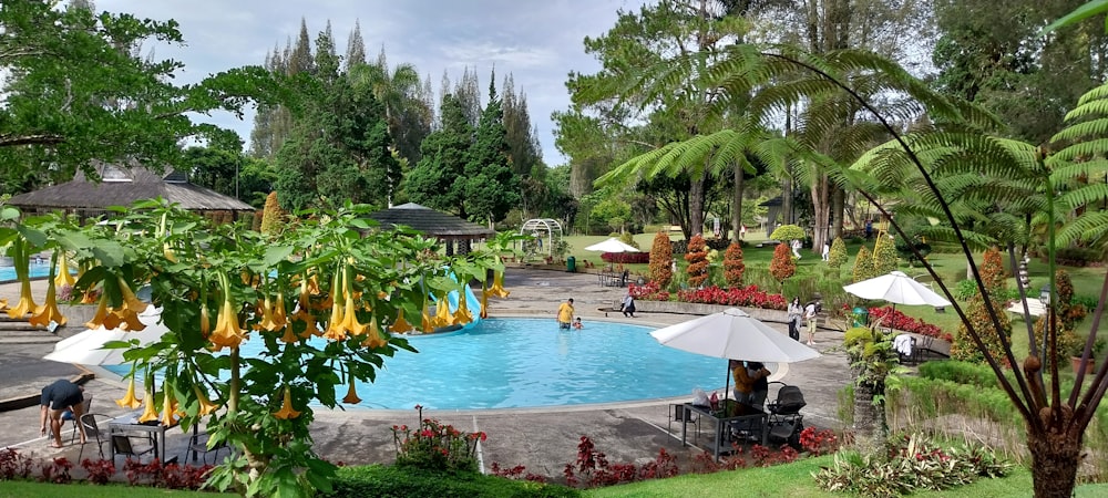 a pool with people around it