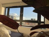 A clean, organized room near a window overlooking a local Greenfield park.