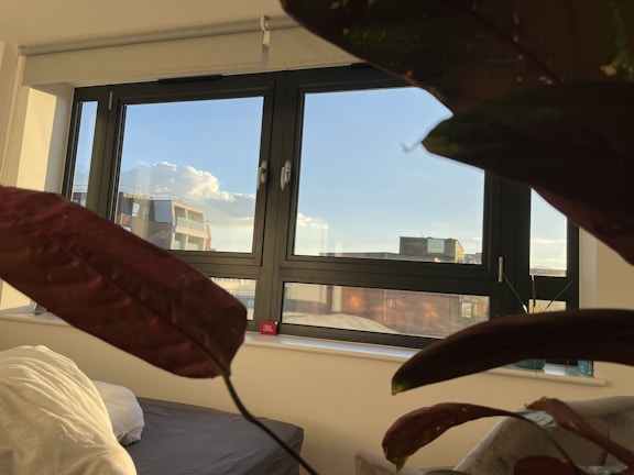 A clean, organized room near a window overlooking a local Greenfield park.