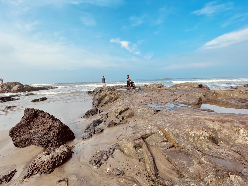 people walking on a beach