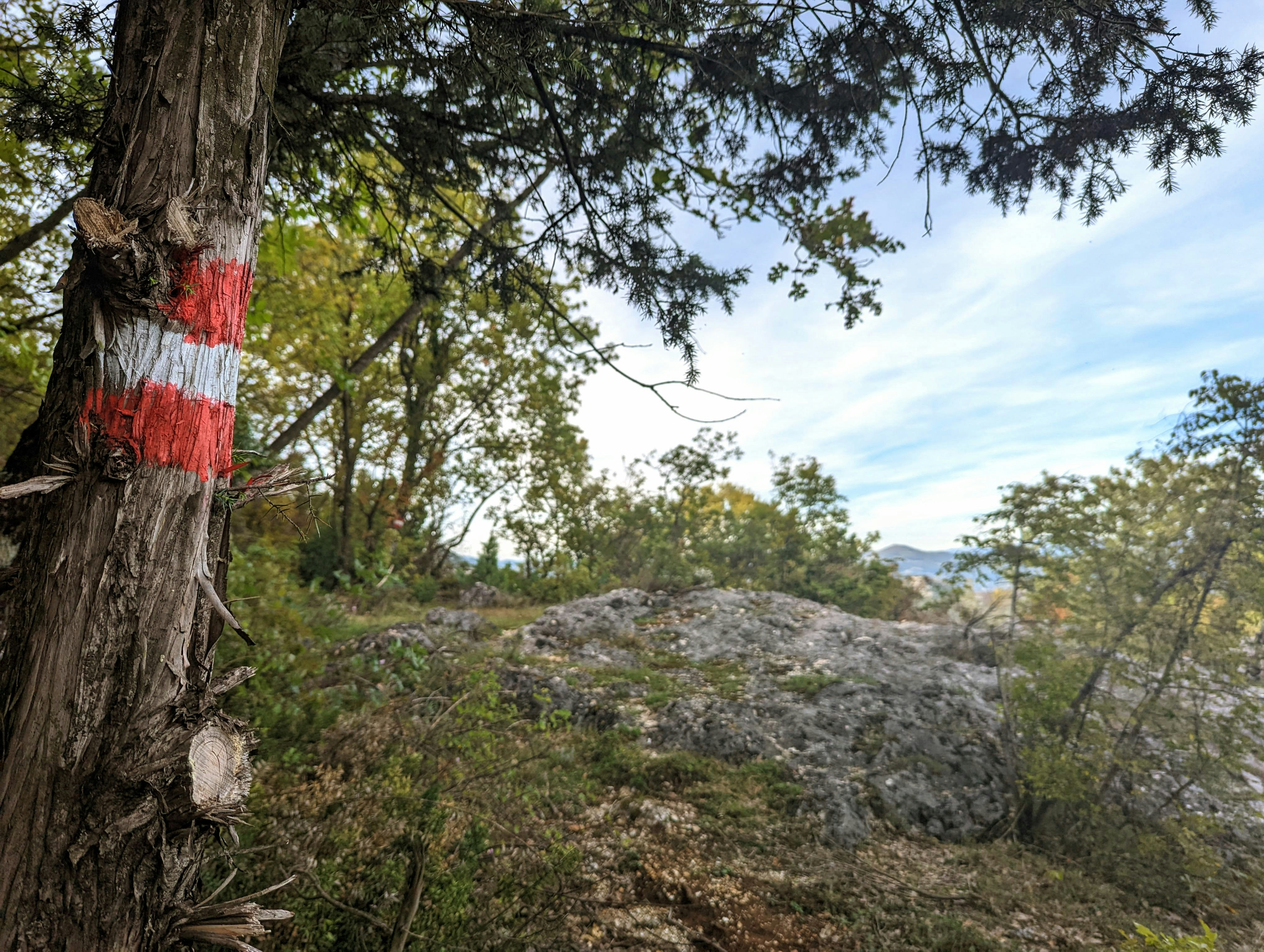이천시청 여권발급 이번 주 빠르게 이해할 수 있는 블로그 섹션 구분 이미지 - 본문 내용과 연관된 이미지