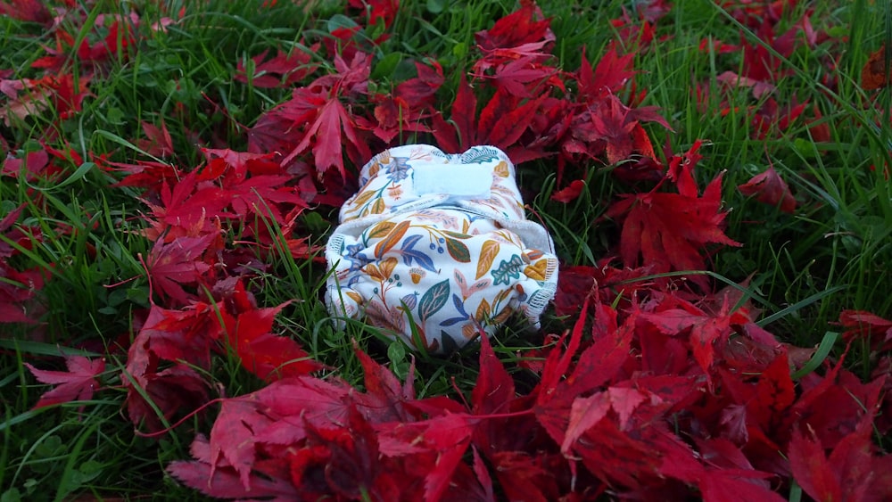 a plastic container in a field of red flowers