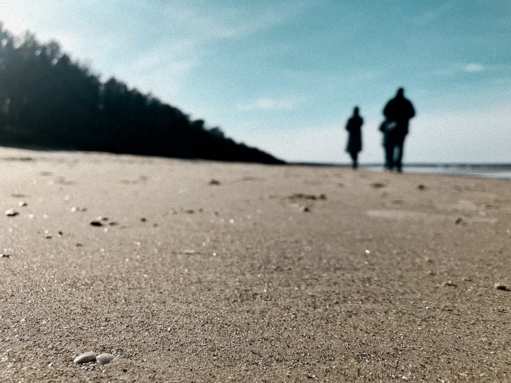 a couple of people walking on a beach