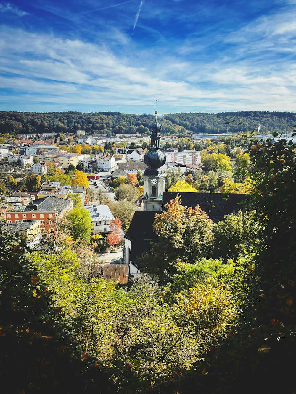 a city with trees and buildings