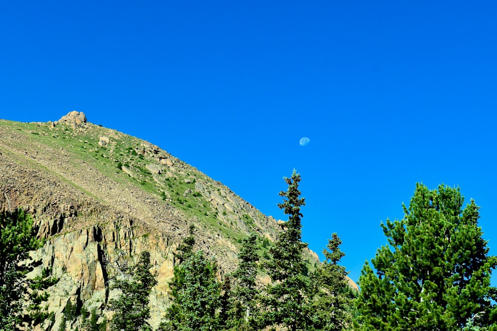 a mountain with trees and a moon in the sky