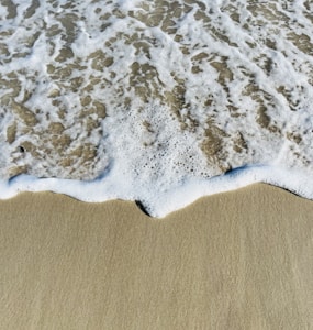 Gentle ocean waves create frothy white foam as they wash over the sandy shoreline under bright sunlight.
