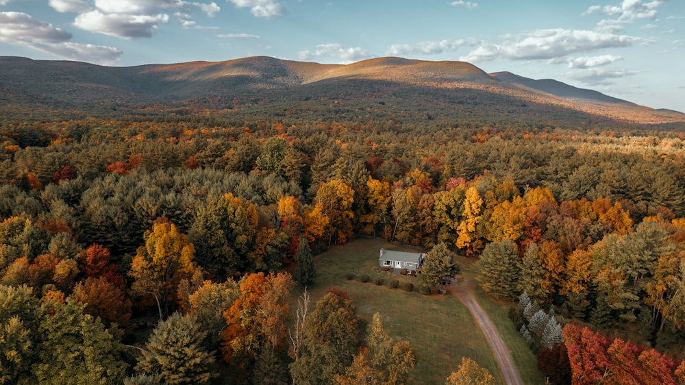 a house surrounded by trees