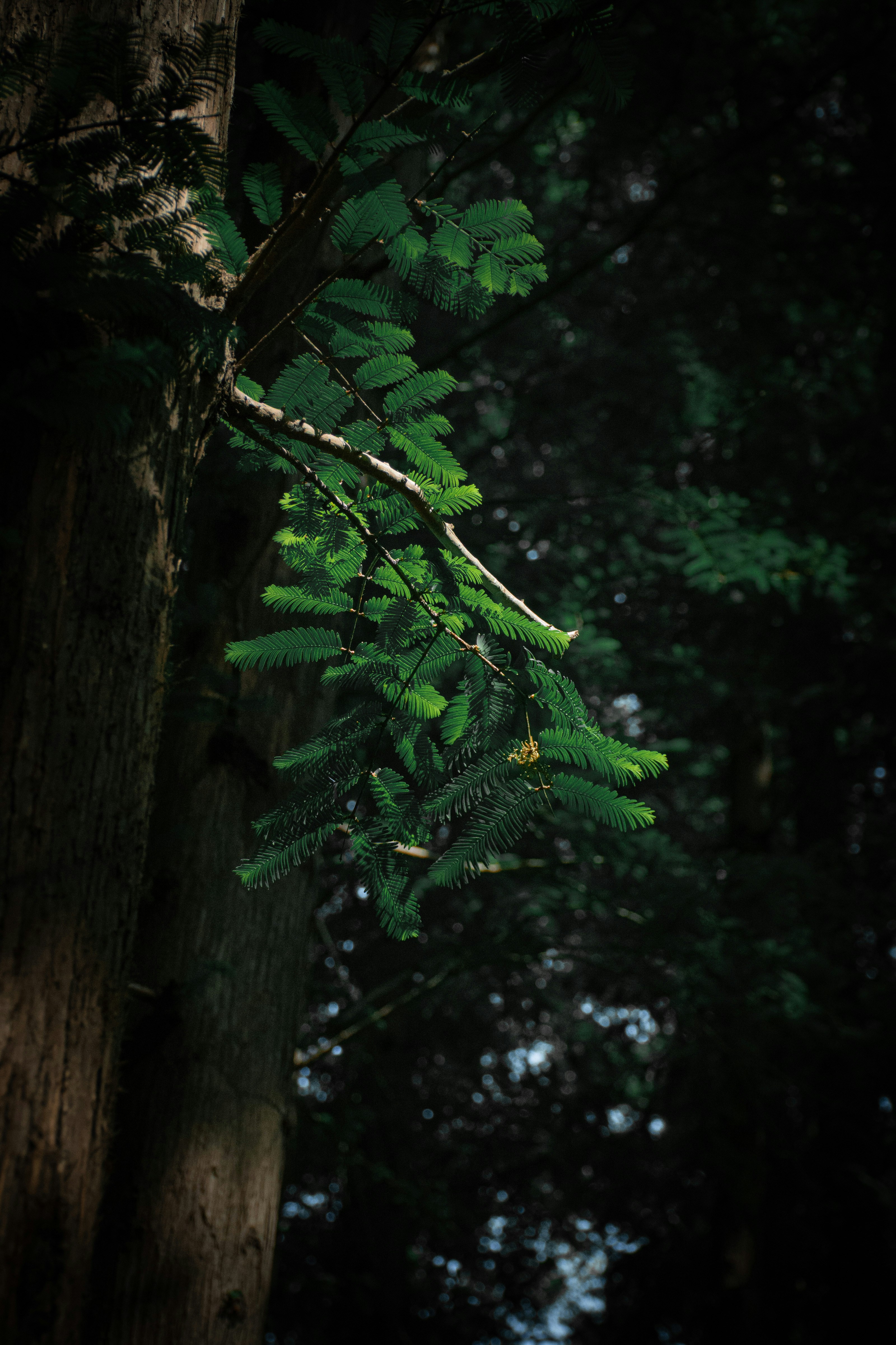 Photo by andemund