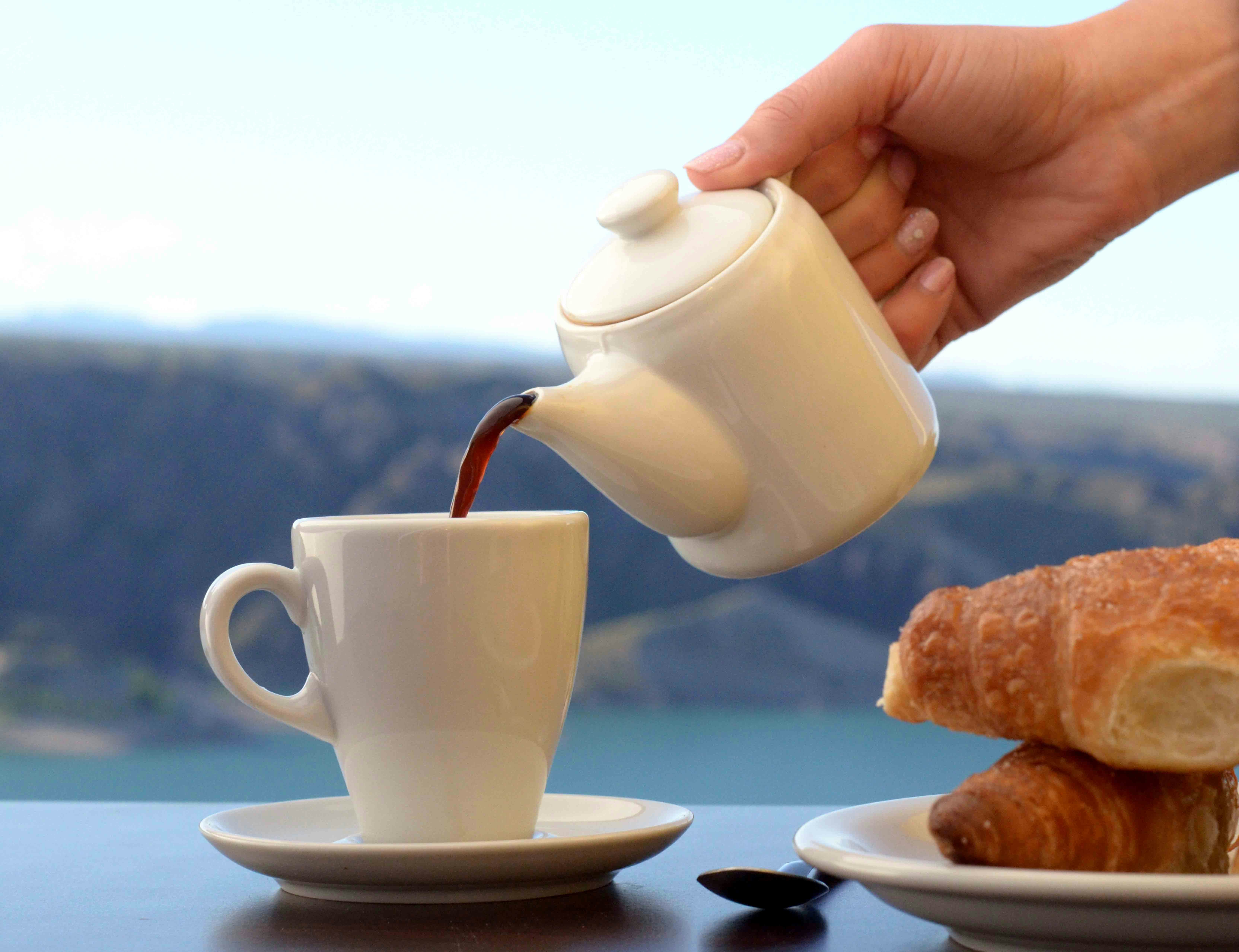 Coffee Mountain La Gorda que te da de comer