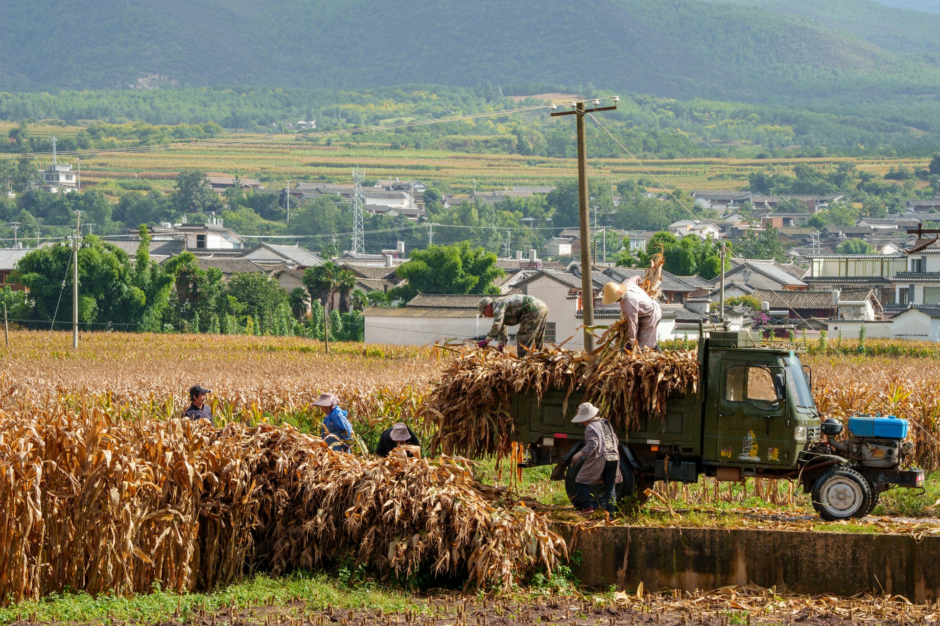 a truck carrying hay