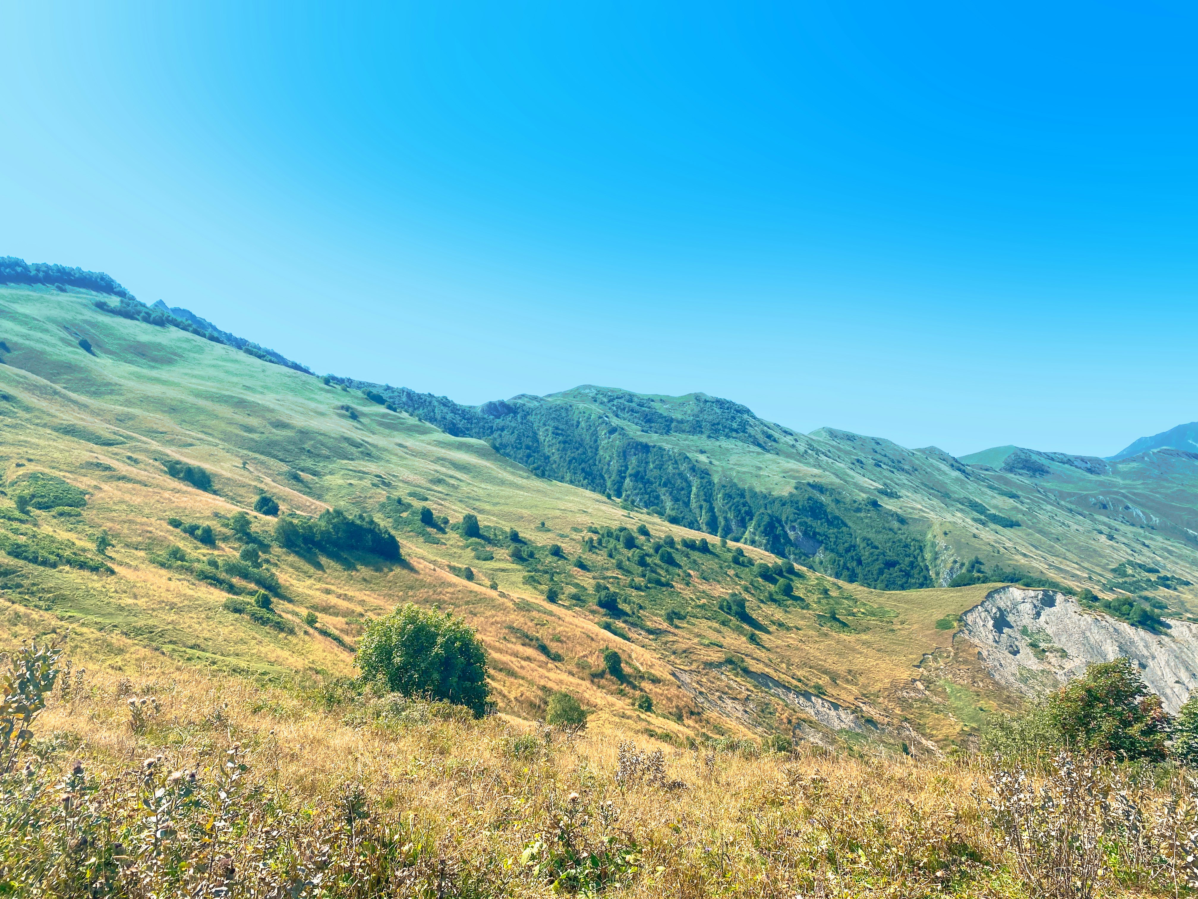 Photo by your_scorpion