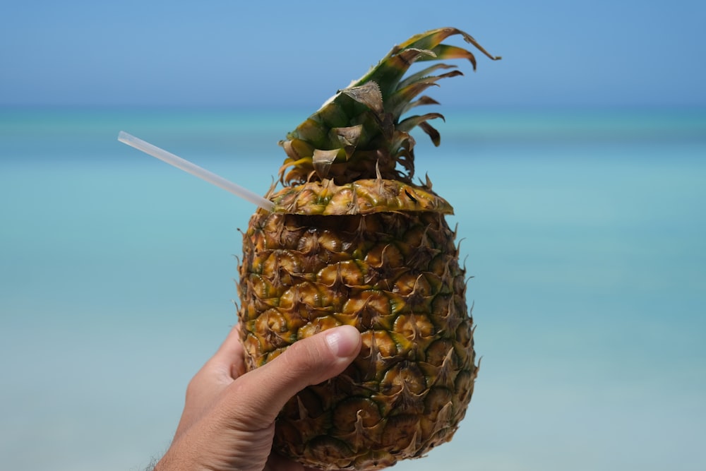 a hand holding a pineapple