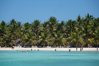 a beach with people and palm trees