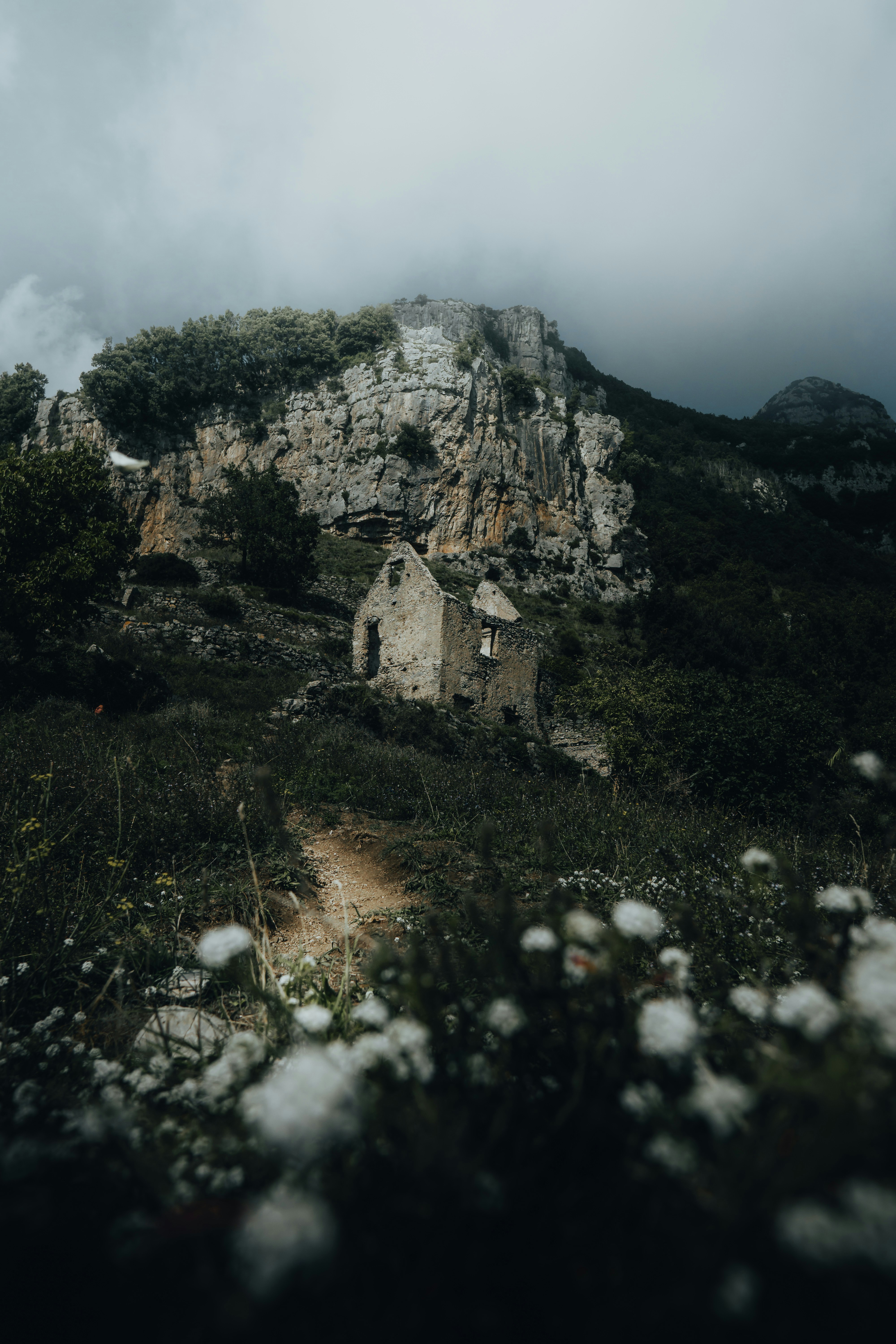 Photo by androwv