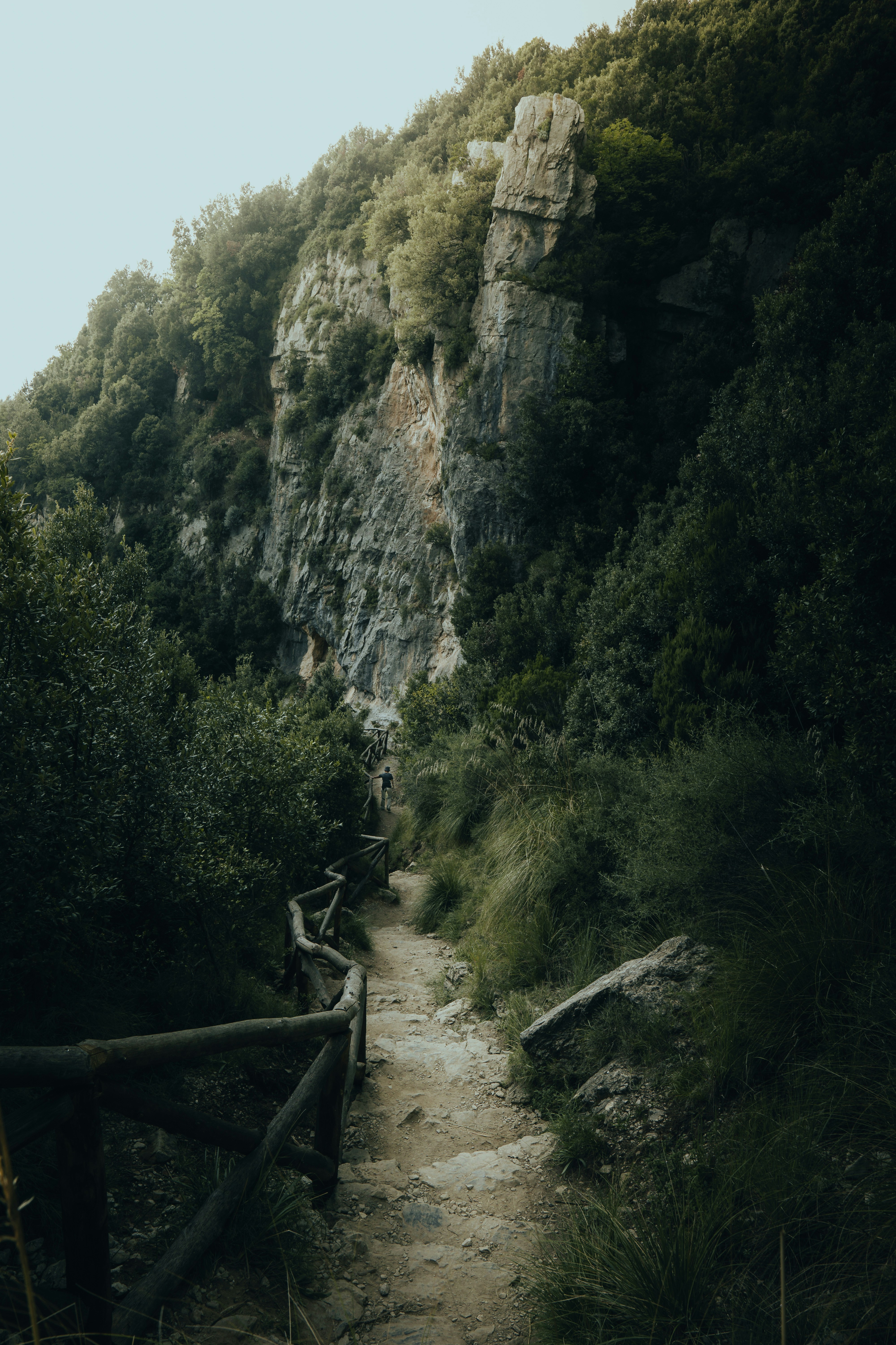 Photo by androwv