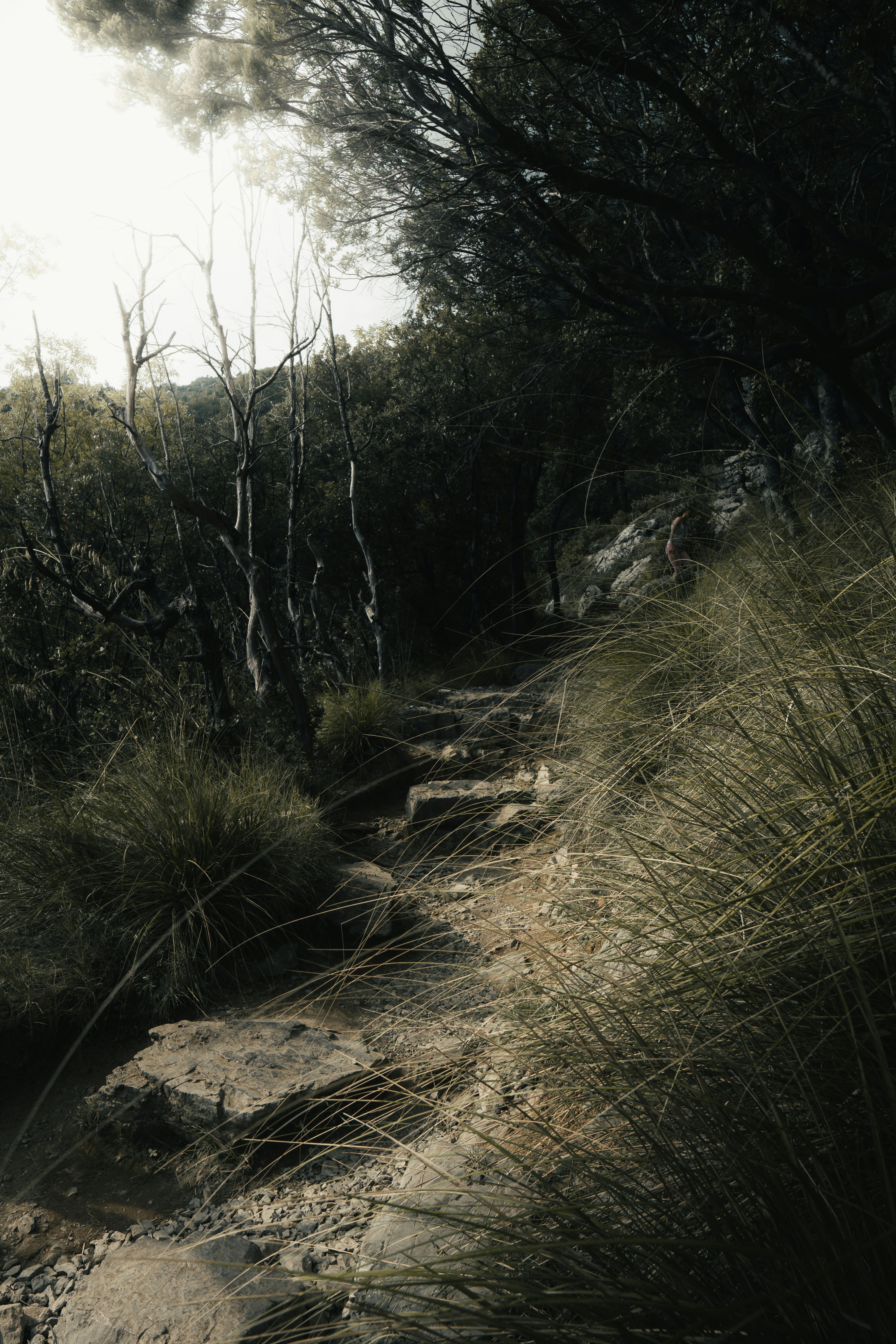 Photo by androwv