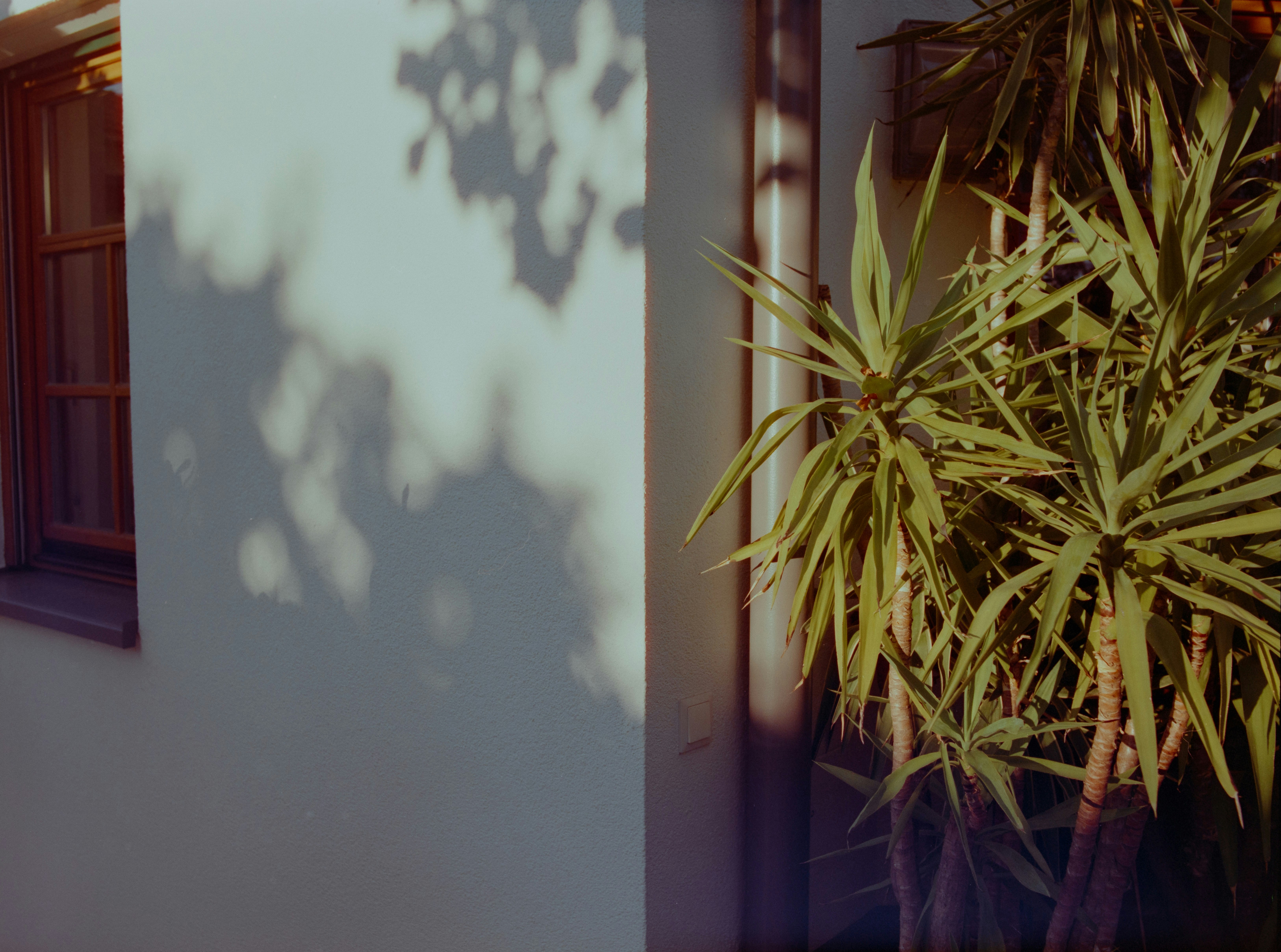 Image de Budget DJ ambient-down-tempo pour un brunch d’entreprise à Nantes : tarifs et conseils 2025