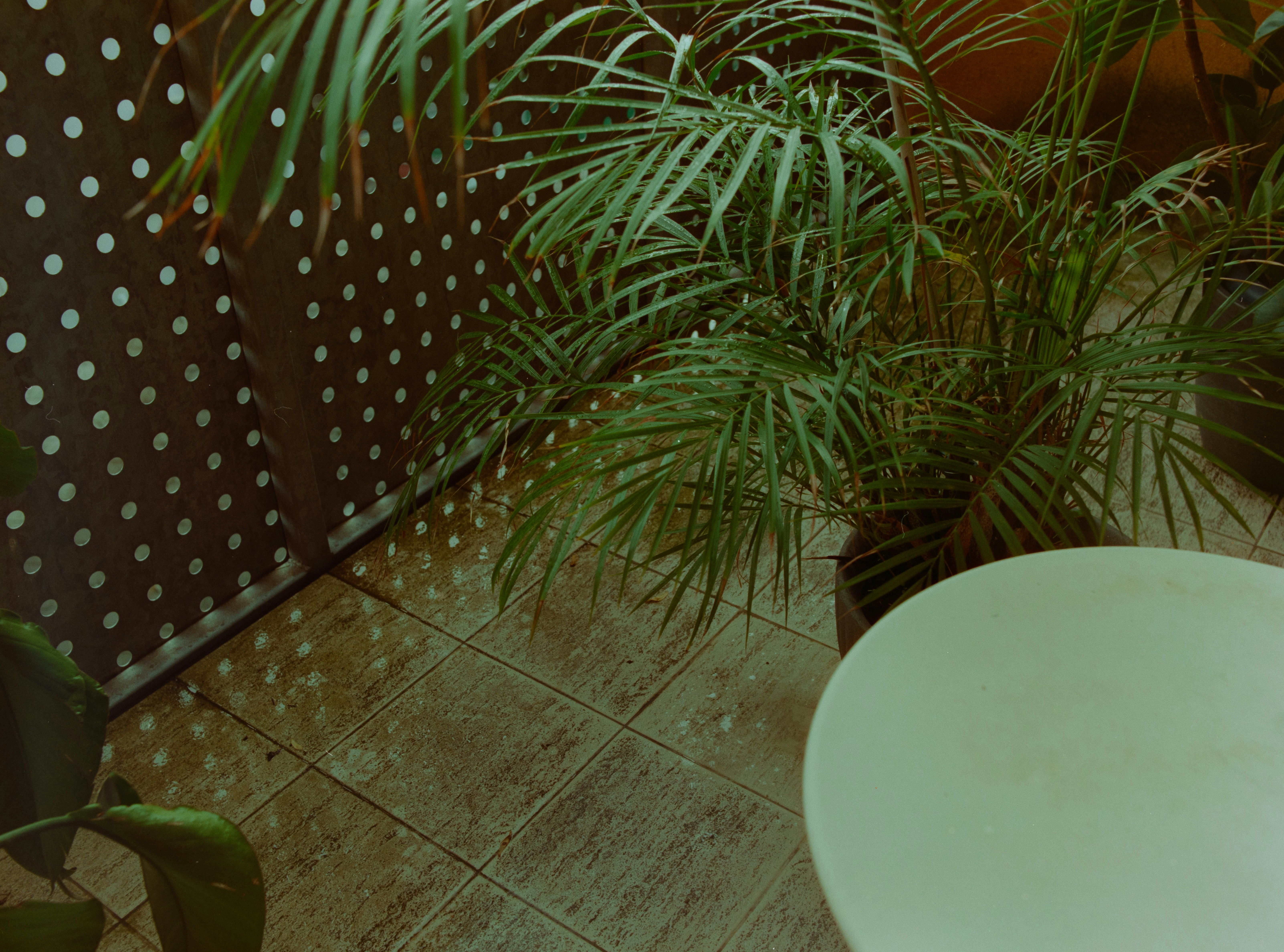 Photo by darabosralph