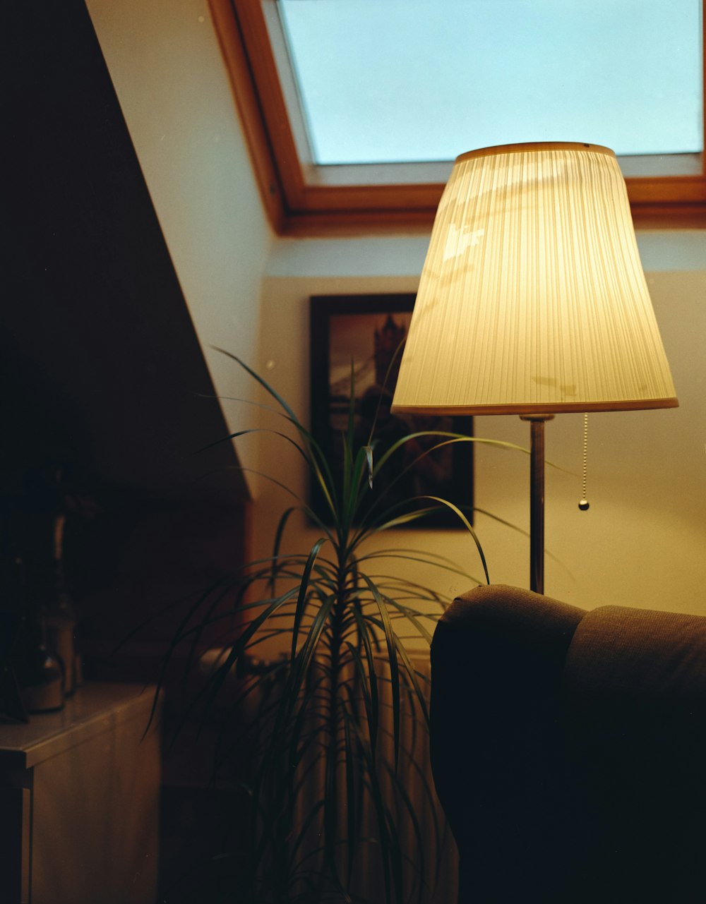 a lamp next to a plant