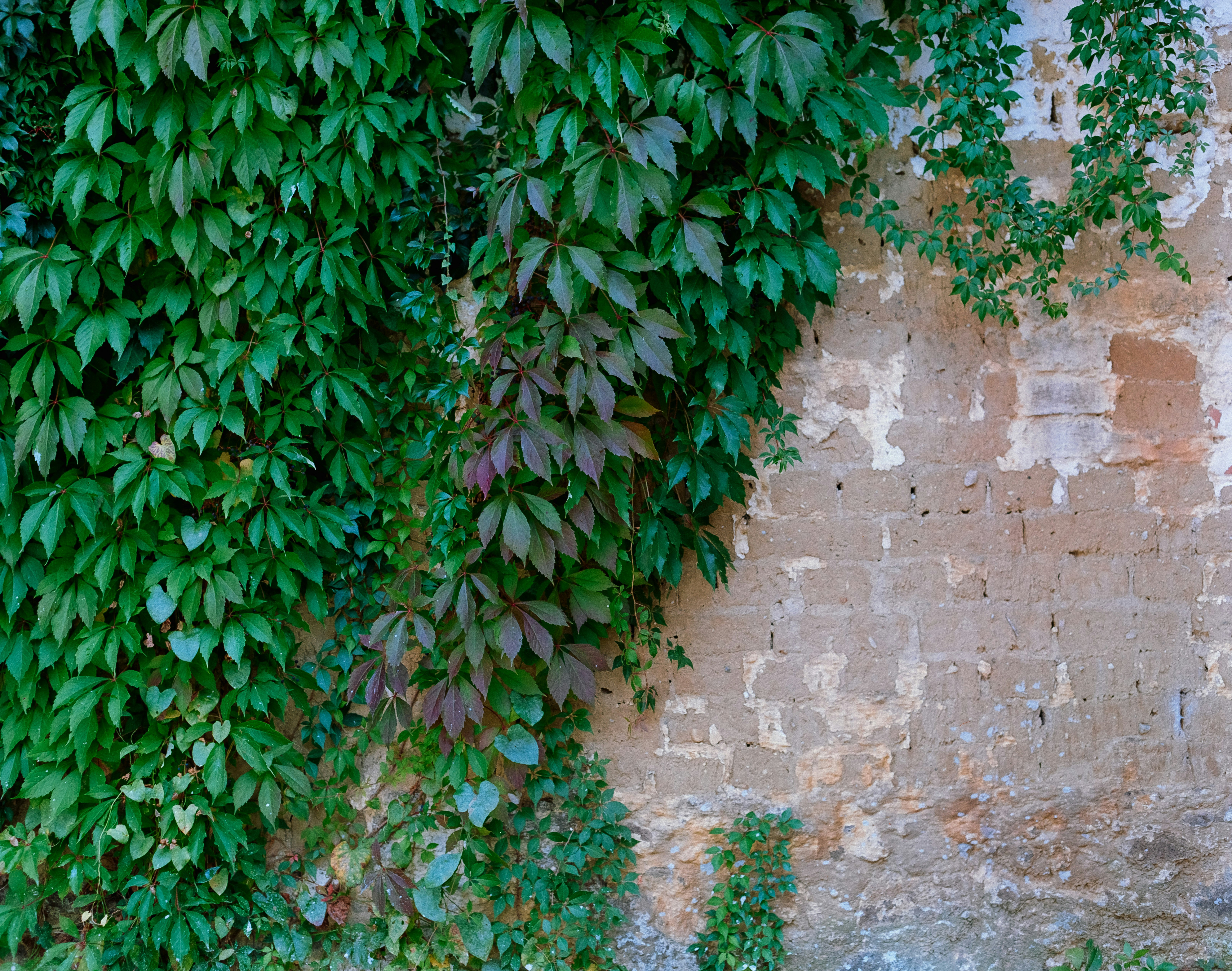 Photo by darabosralph