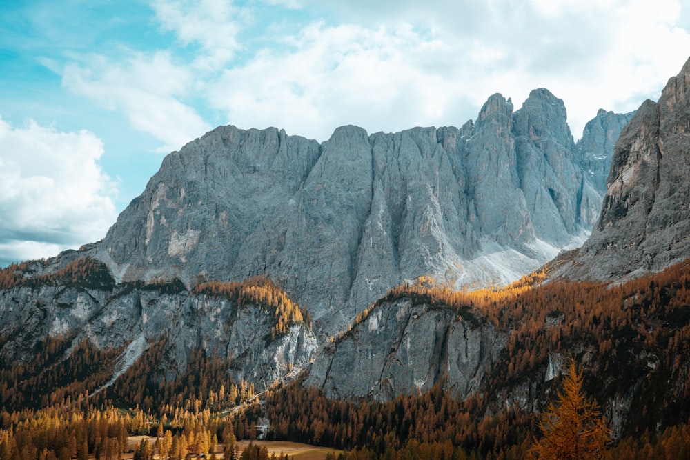 a rocky mountain with trees