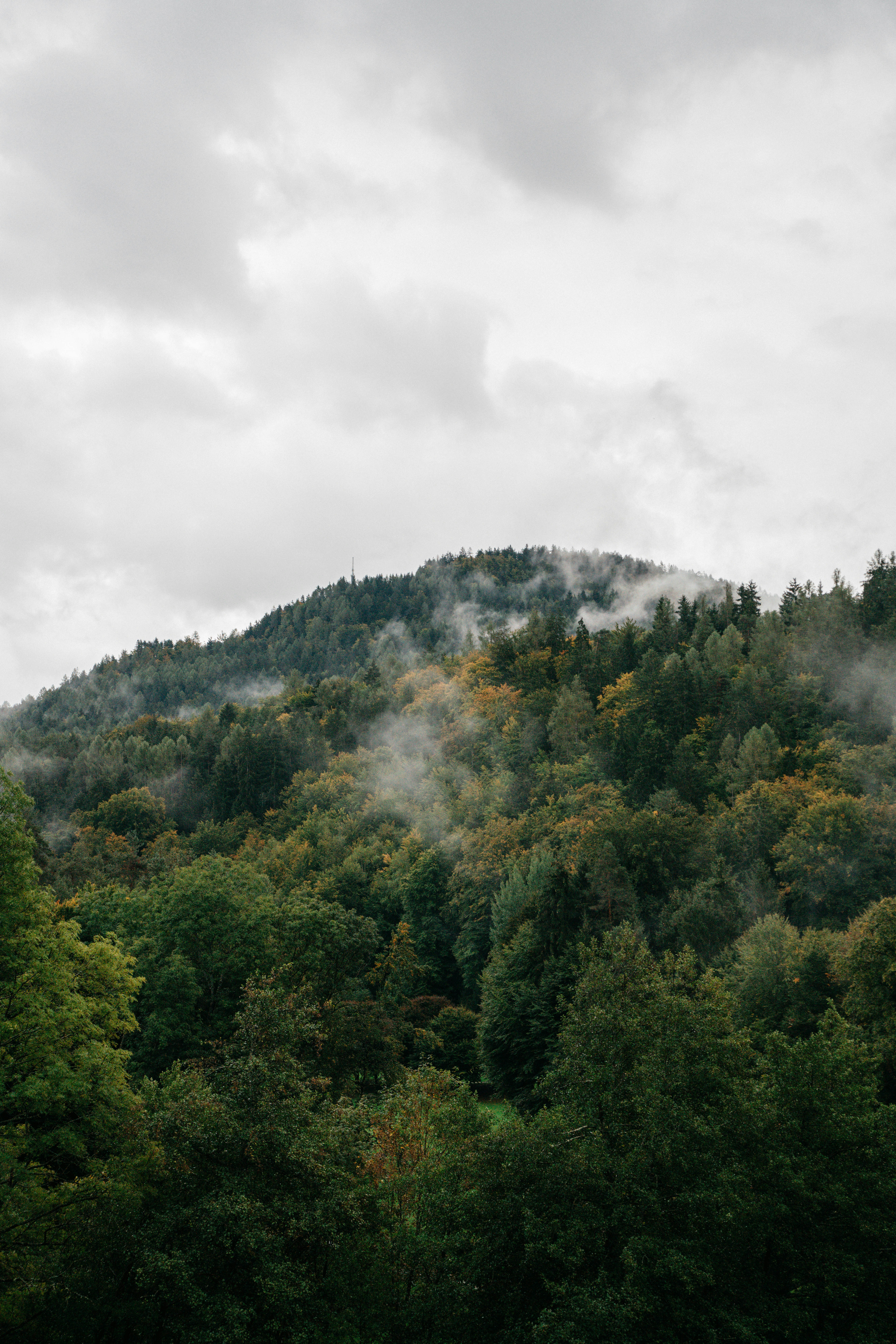 Photo by darabosralph