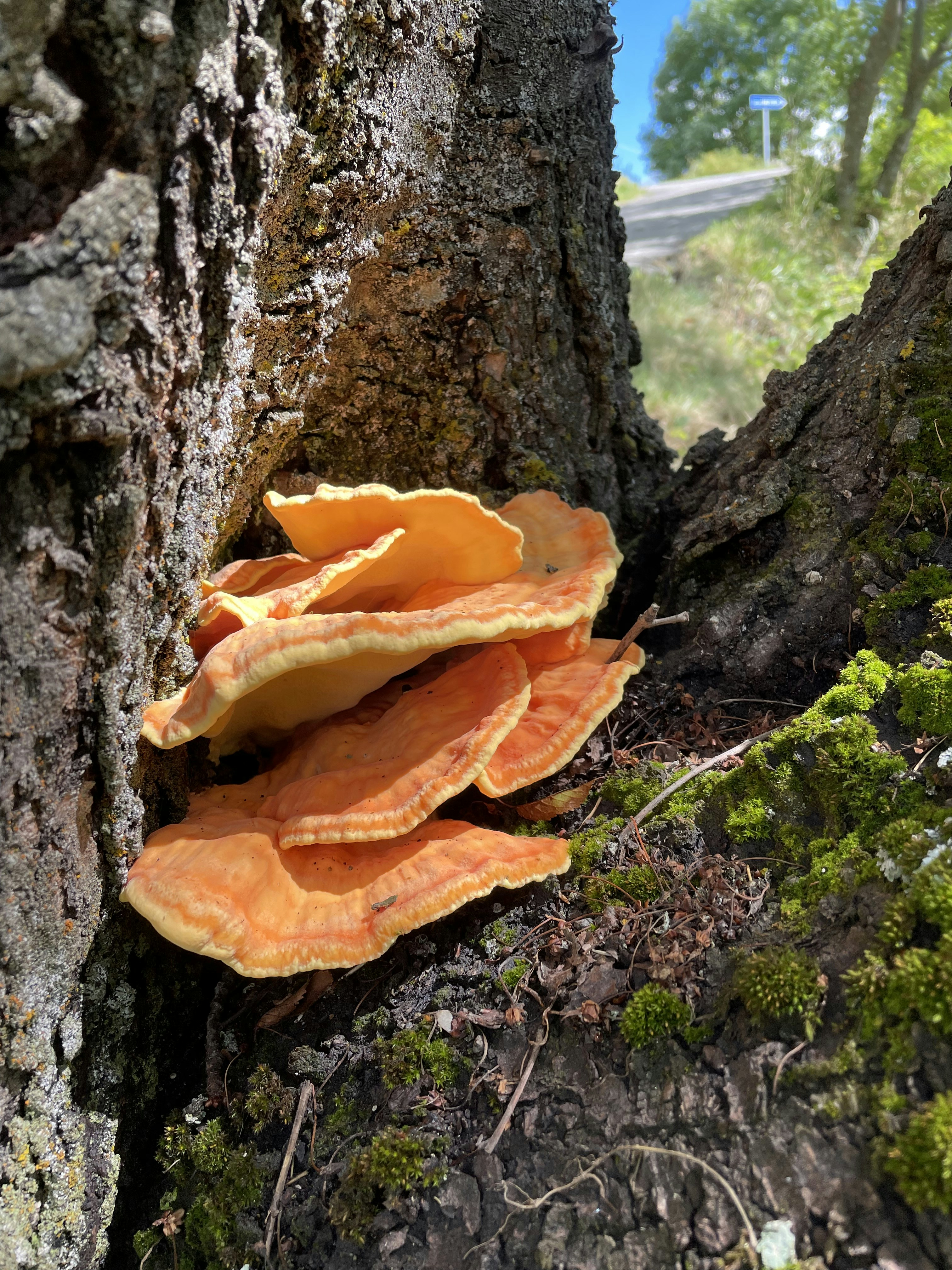 Photo by markthepark